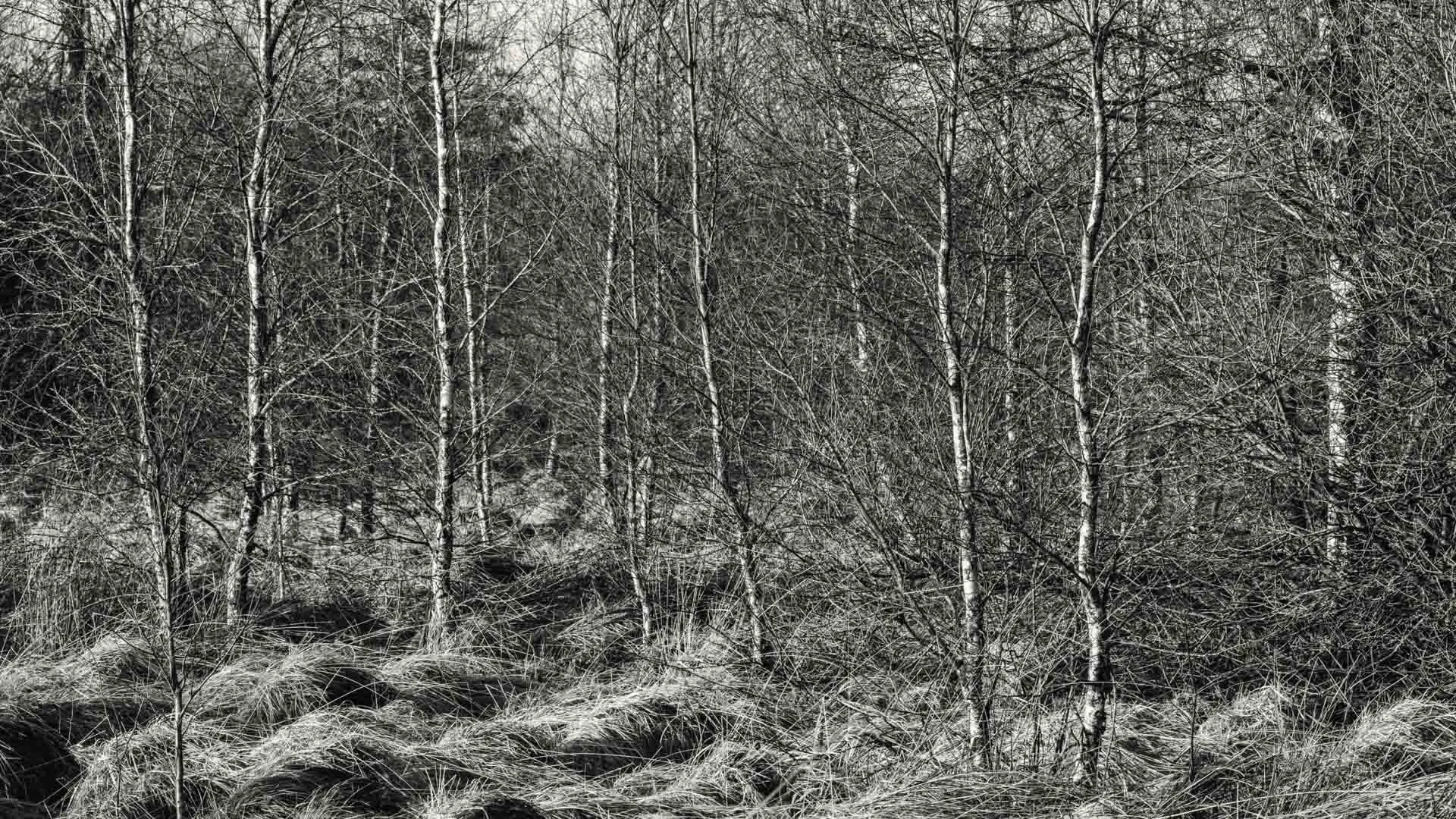 Freek 03_R5D2998-bewerkt.jpg