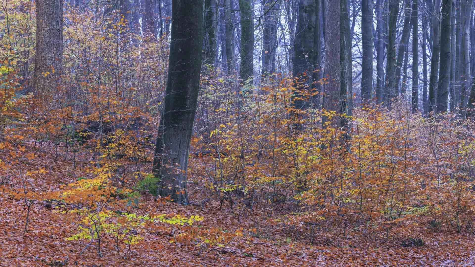 Freek 03_R5D2673.jpg