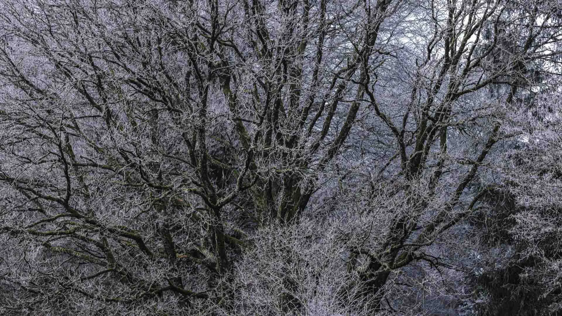 Freek 08_R5D3503-2.jpg