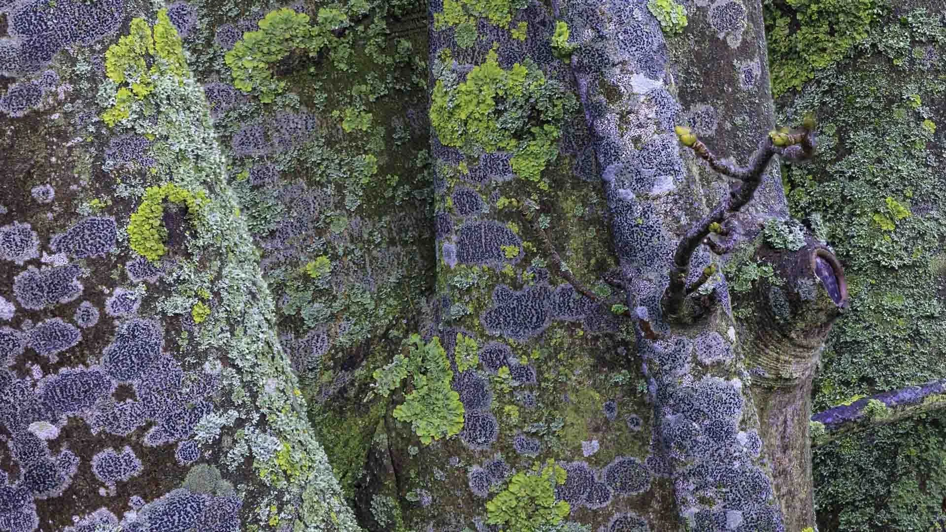 Freek 06_R5D2779 2025-12-26 13-11-55 (B,R8,S4).jpg