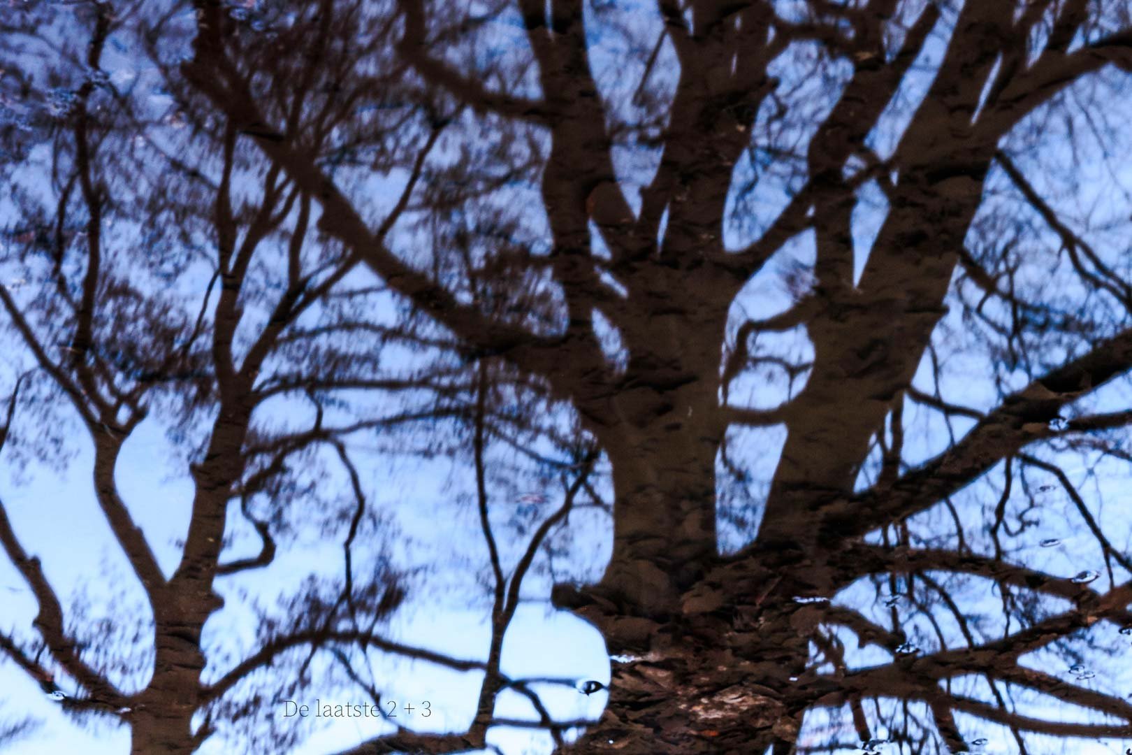 Freek 07_R5D4199.jpg