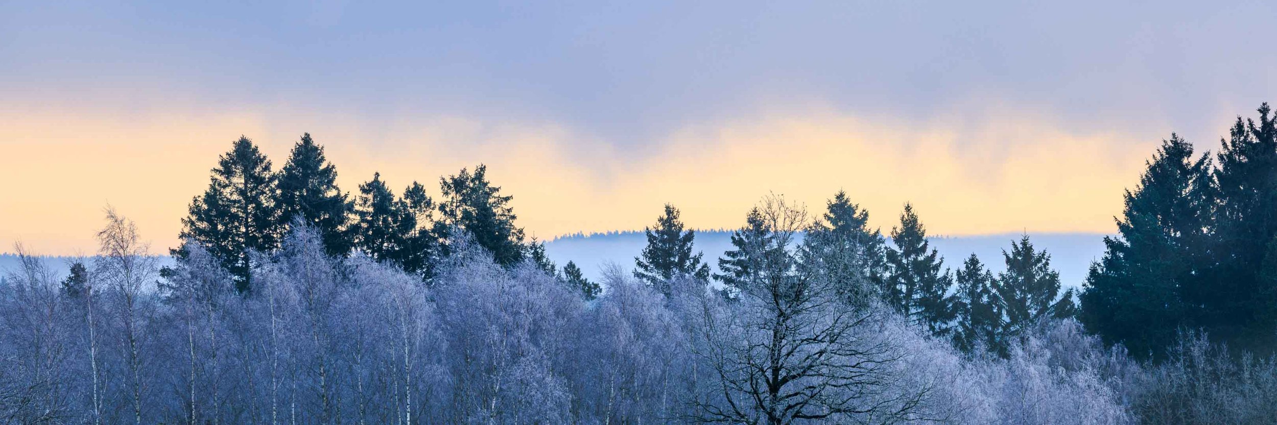 Freek 03_R5D3521.jpg