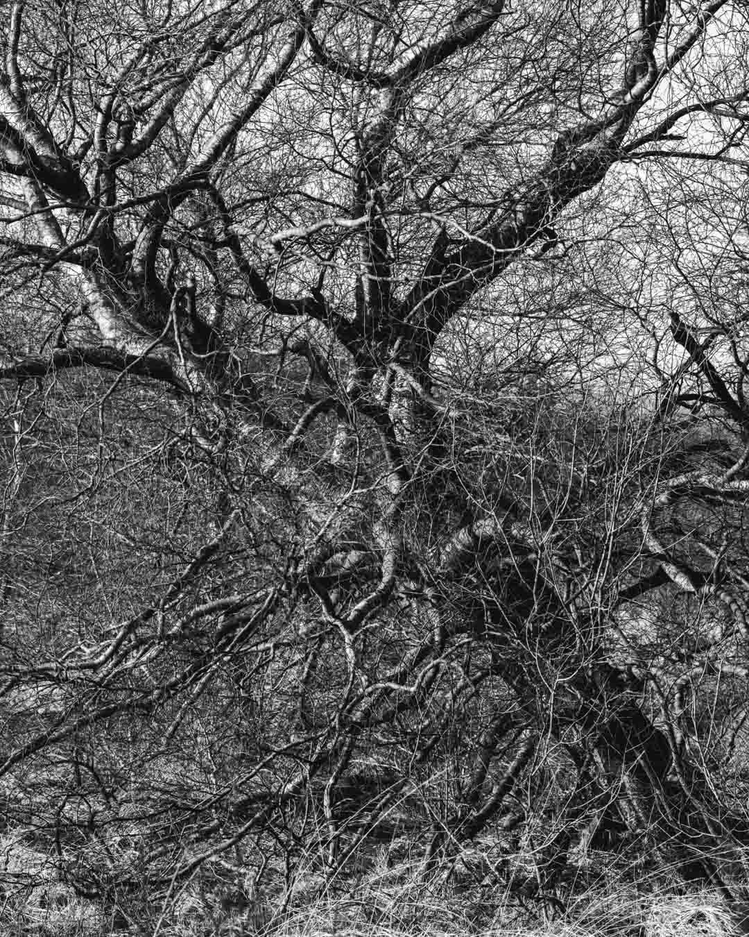 Freek 04_R5D3002.jpg