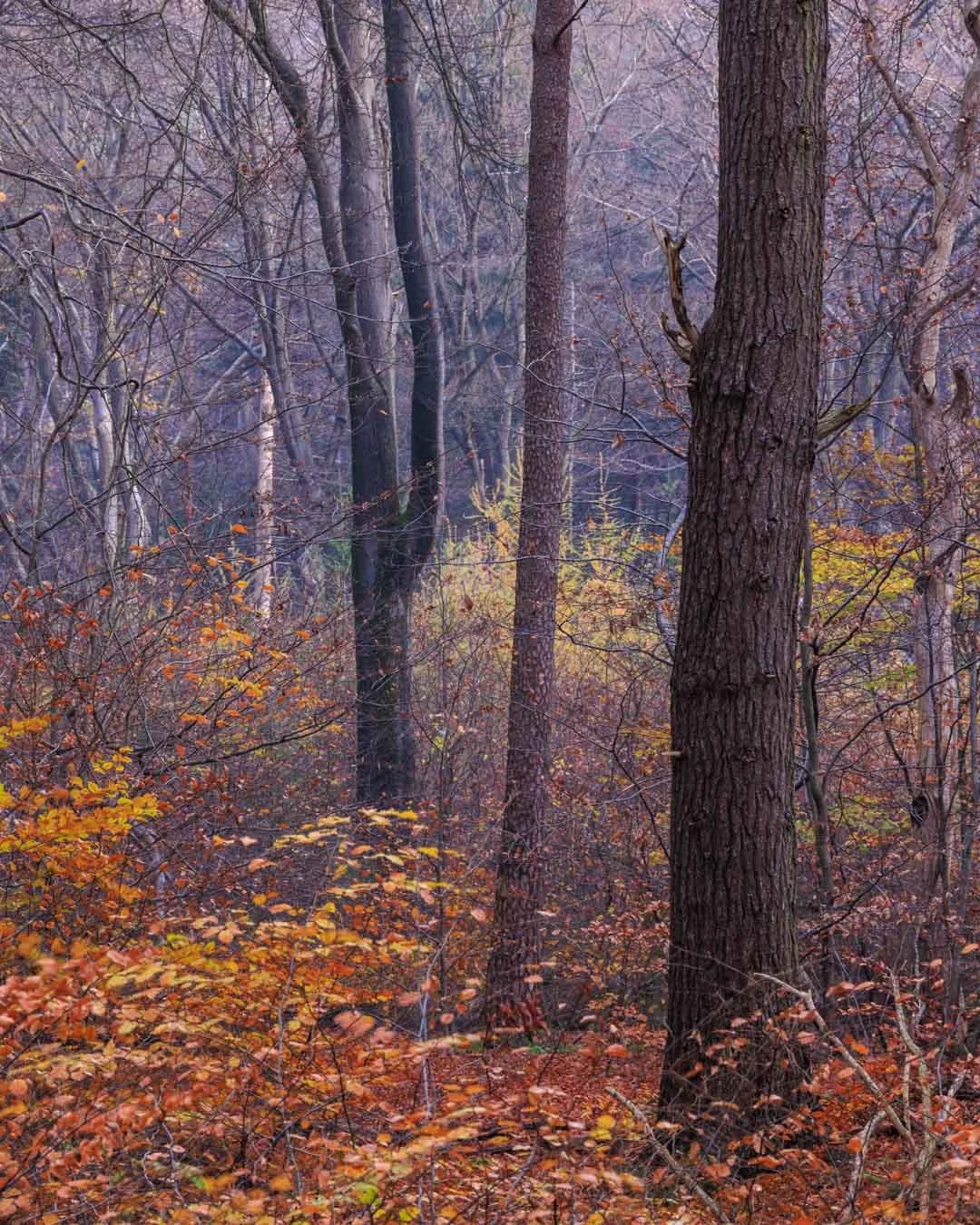 Freek 06_R5D2640.jpg