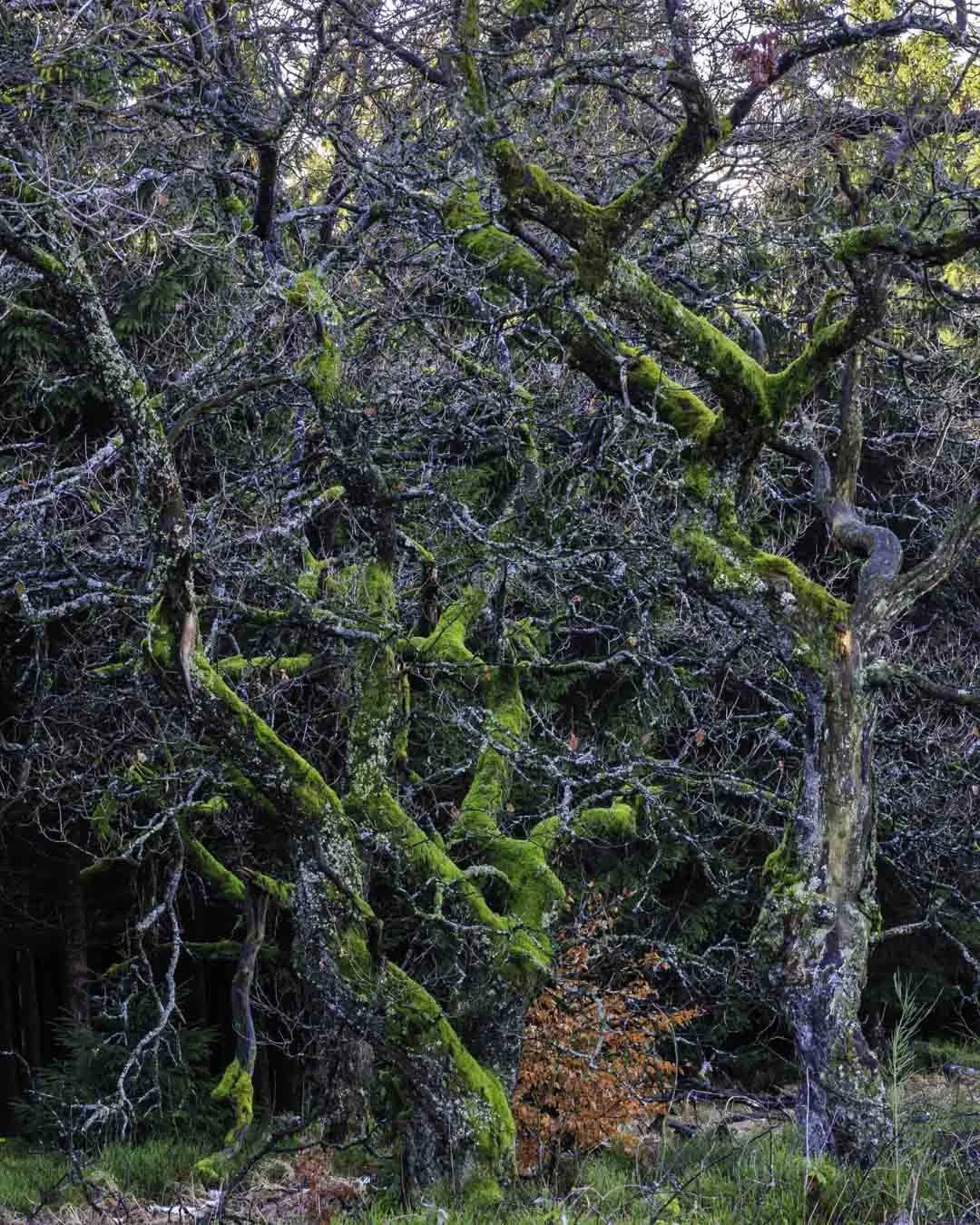 Freek 05_R5D3021.jpg