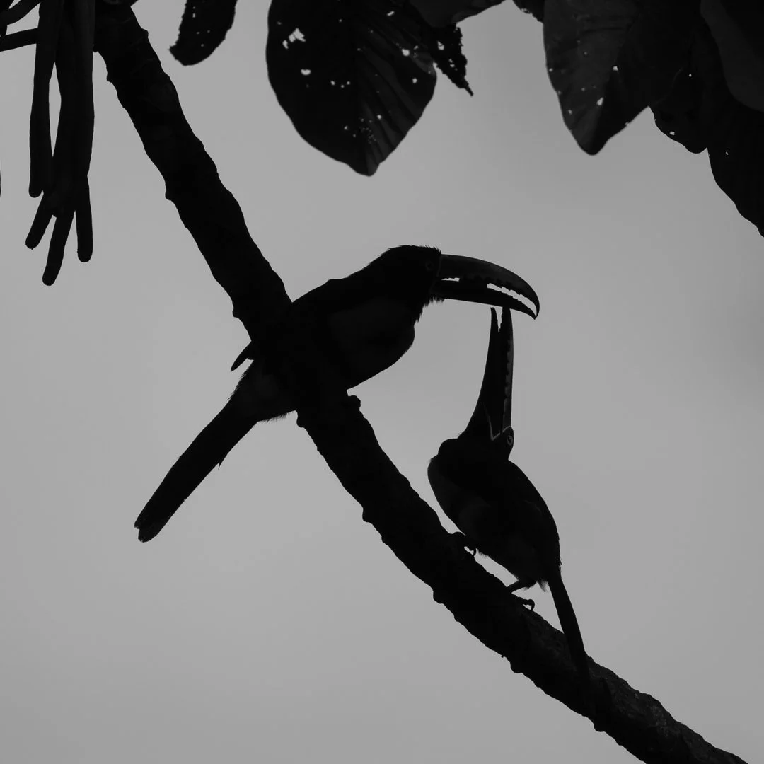 HansD_2026050811.jpg