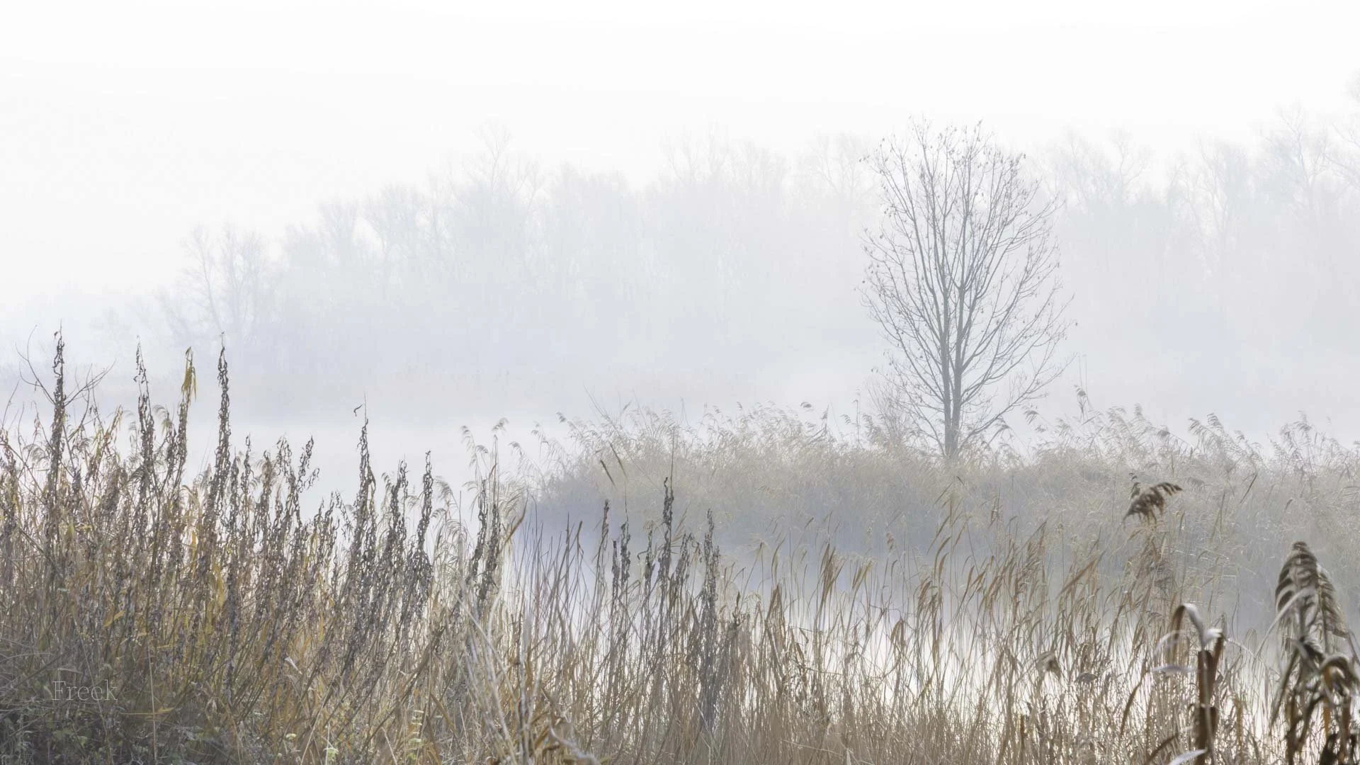 Freek 01_R5D2717.jpg