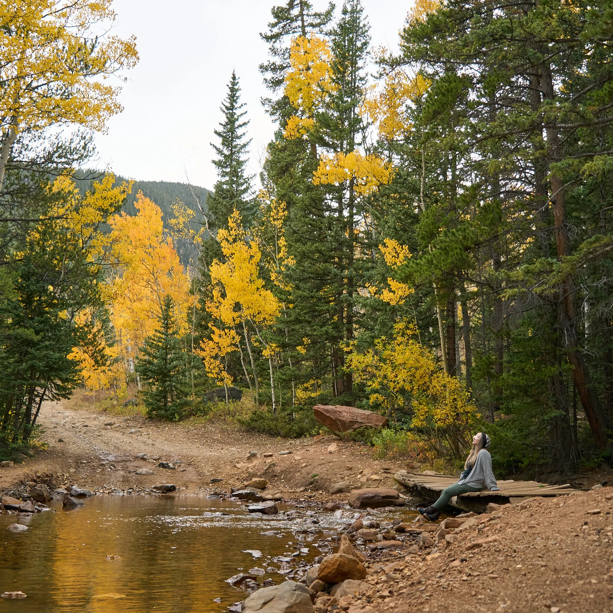 32. We discovered this space a little over five years ago. Back when we had the CRV, we went exploring everywhere that thing would take us. After a while, this specific spot became our go-to. It's perfect for all types of camping. Sometimes, we'll ev