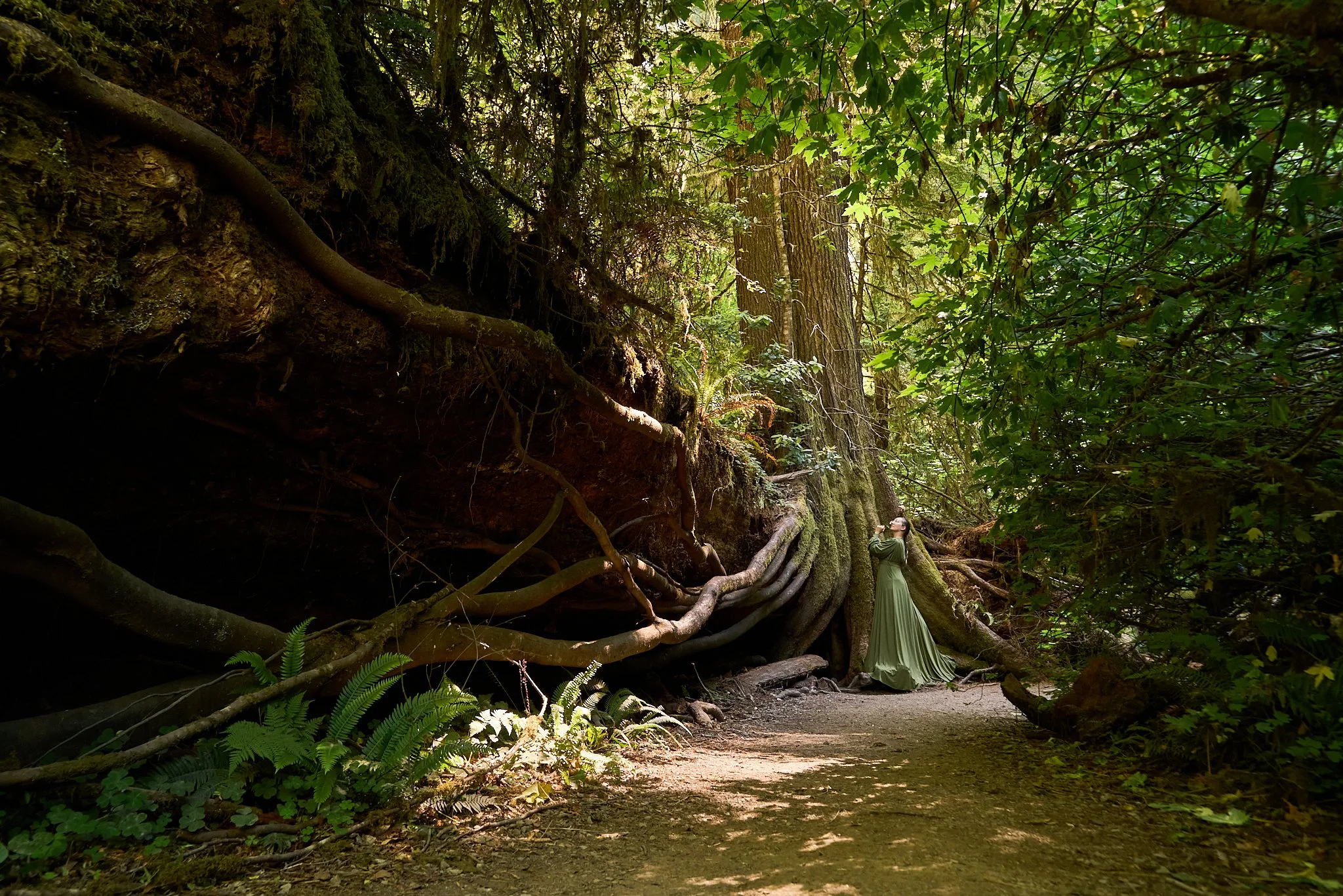 12. While we were out in the Redwood National Forest, I couldn't help but think of all the scenes from both Jurassic Park and Star Wars that were made in these same woods. When we turned the corner and saw this mass of roots leading to this mossy tre
