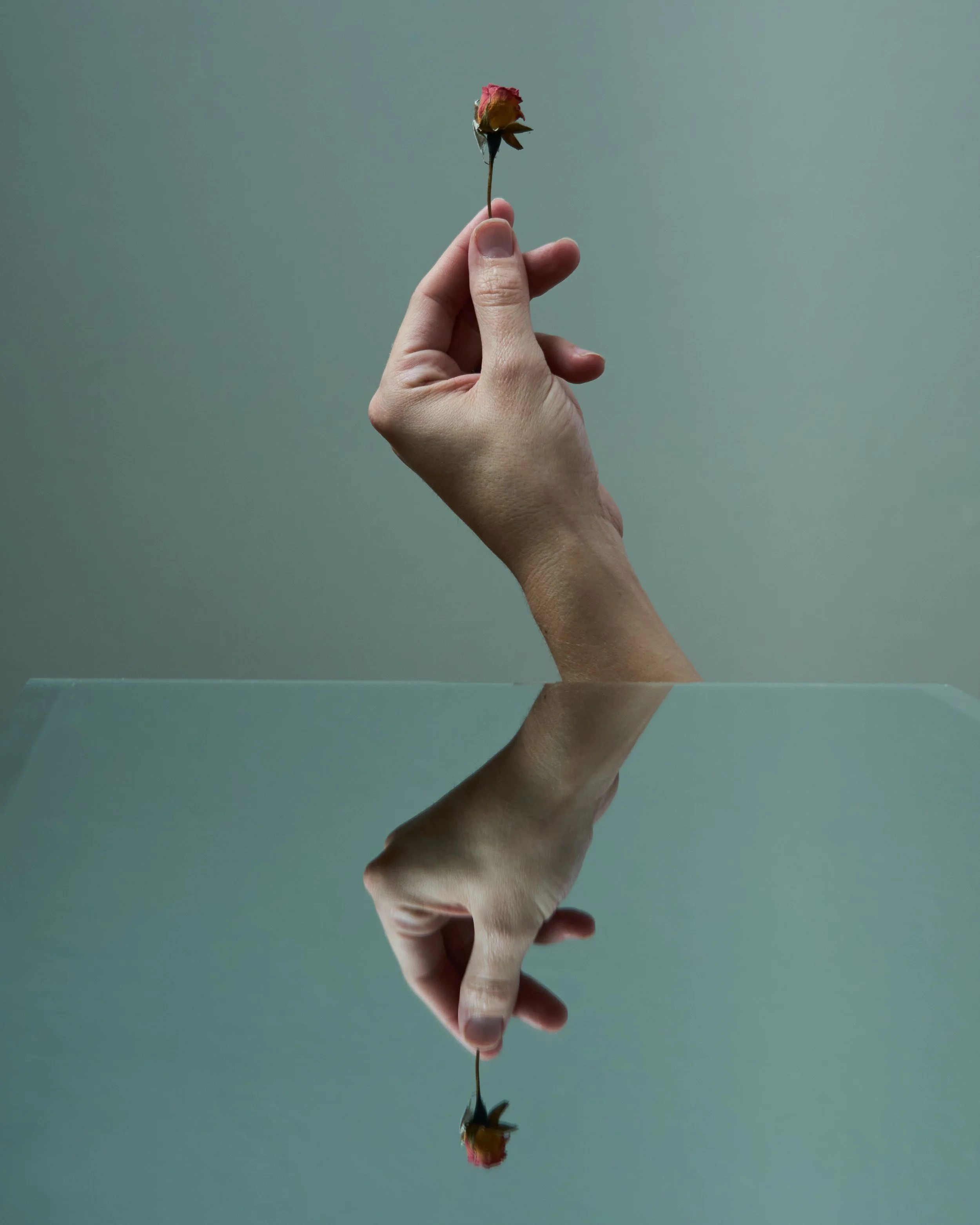 1. Beginnings are always interesting. 
For the first image of the project, I wanted to create something simple. The rosebud represents the start of something beautiful, and the reflection acts like the reminder to examine myself. 
Was this going to b