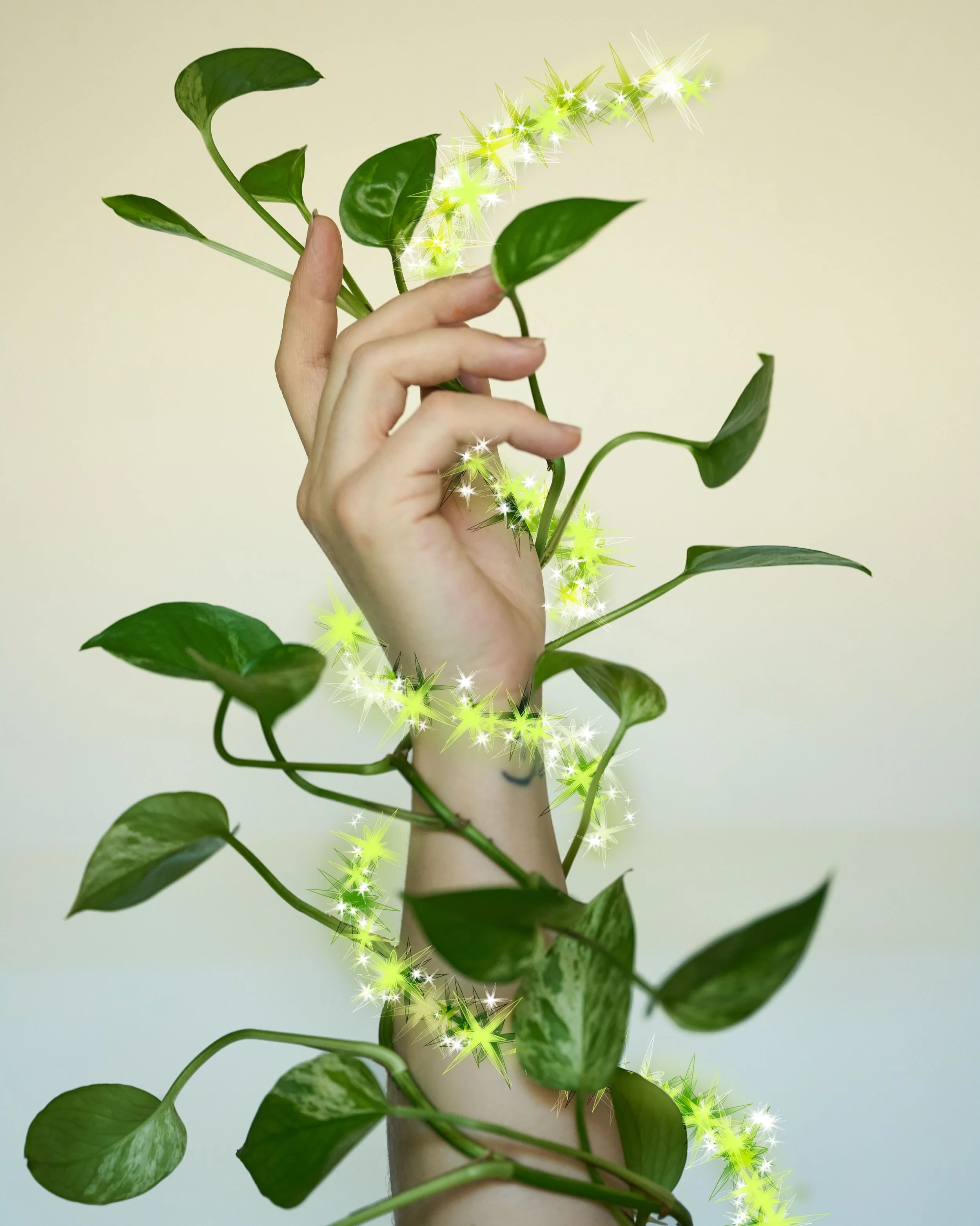 39. I was so nervous to start this challenge, because I had hit a wall in creativity. I had felt like I had created all my ideas, and would possibly run out of motivation. As the weeks passed, something wonderful grew. I felt the walls expand instead