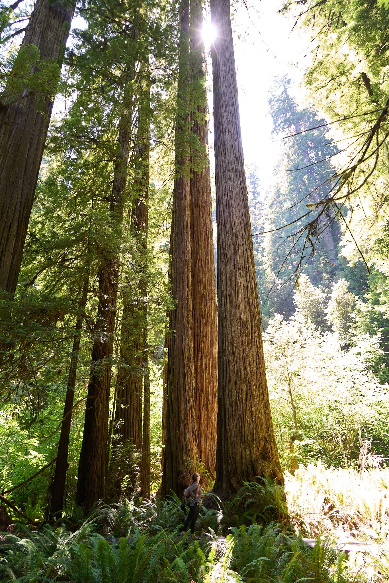 13. When hiking the Grove of Titans, I found a sliver of peace among all the turmoil that is the world today. Being privileged enough have the freedom to explore is not lost on me. I know there are some who can't take the time or spend the resources 