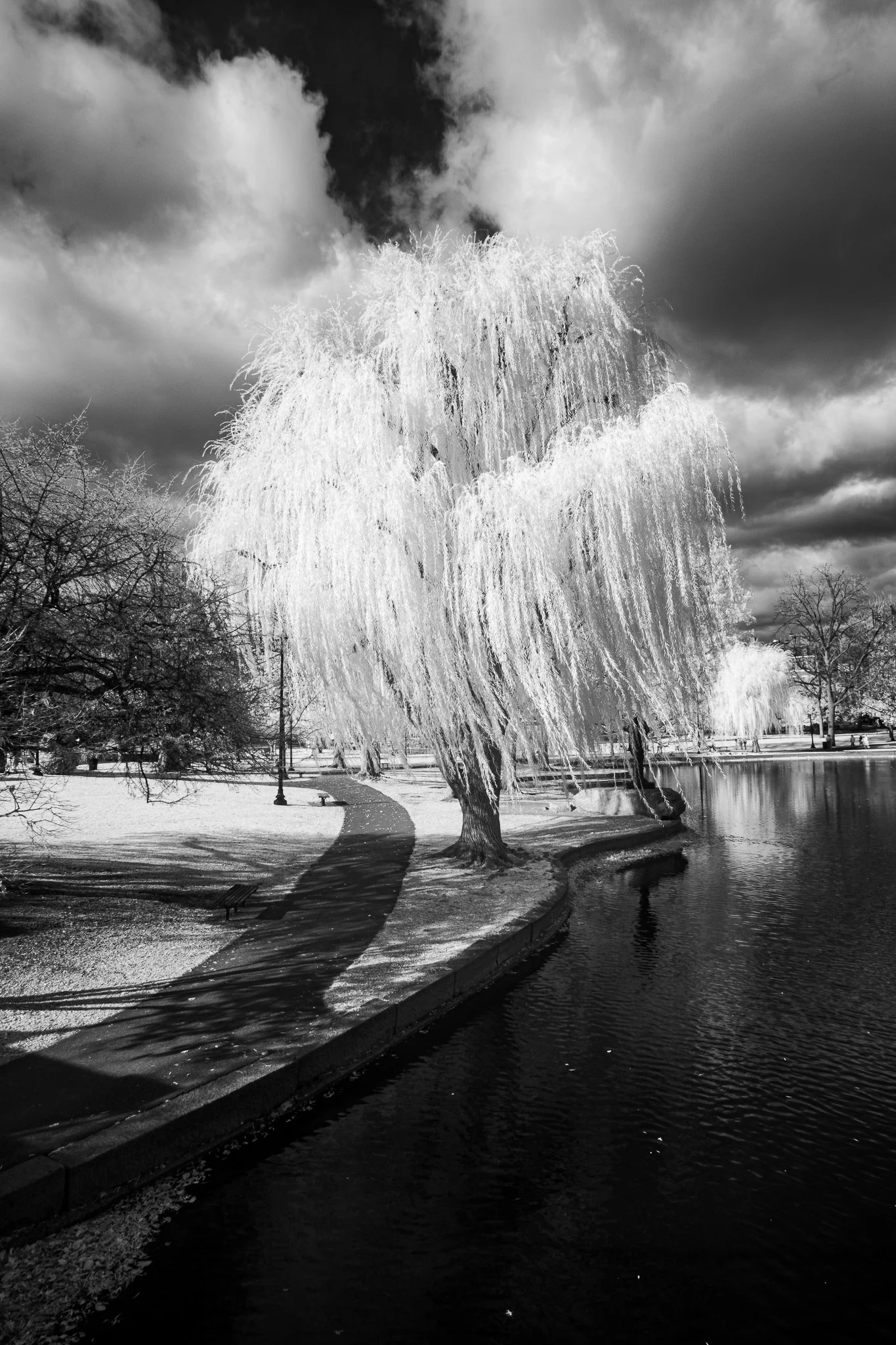 Boston Public Garden Boston, MA