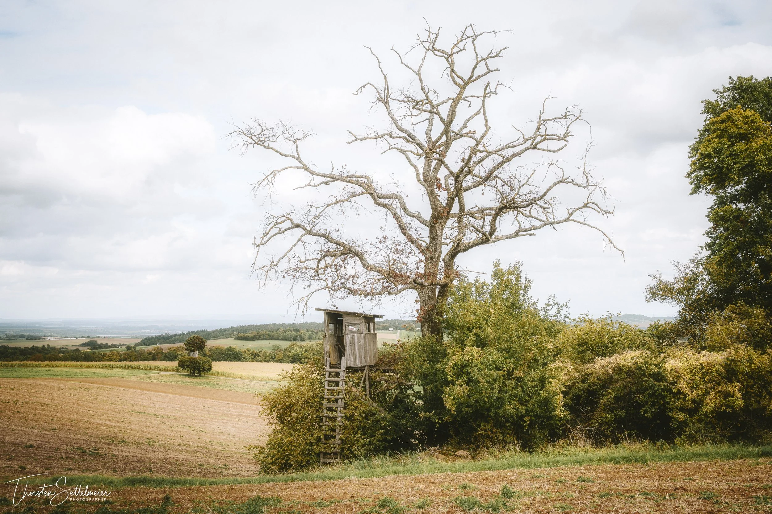 hunting hide / Jägerstand