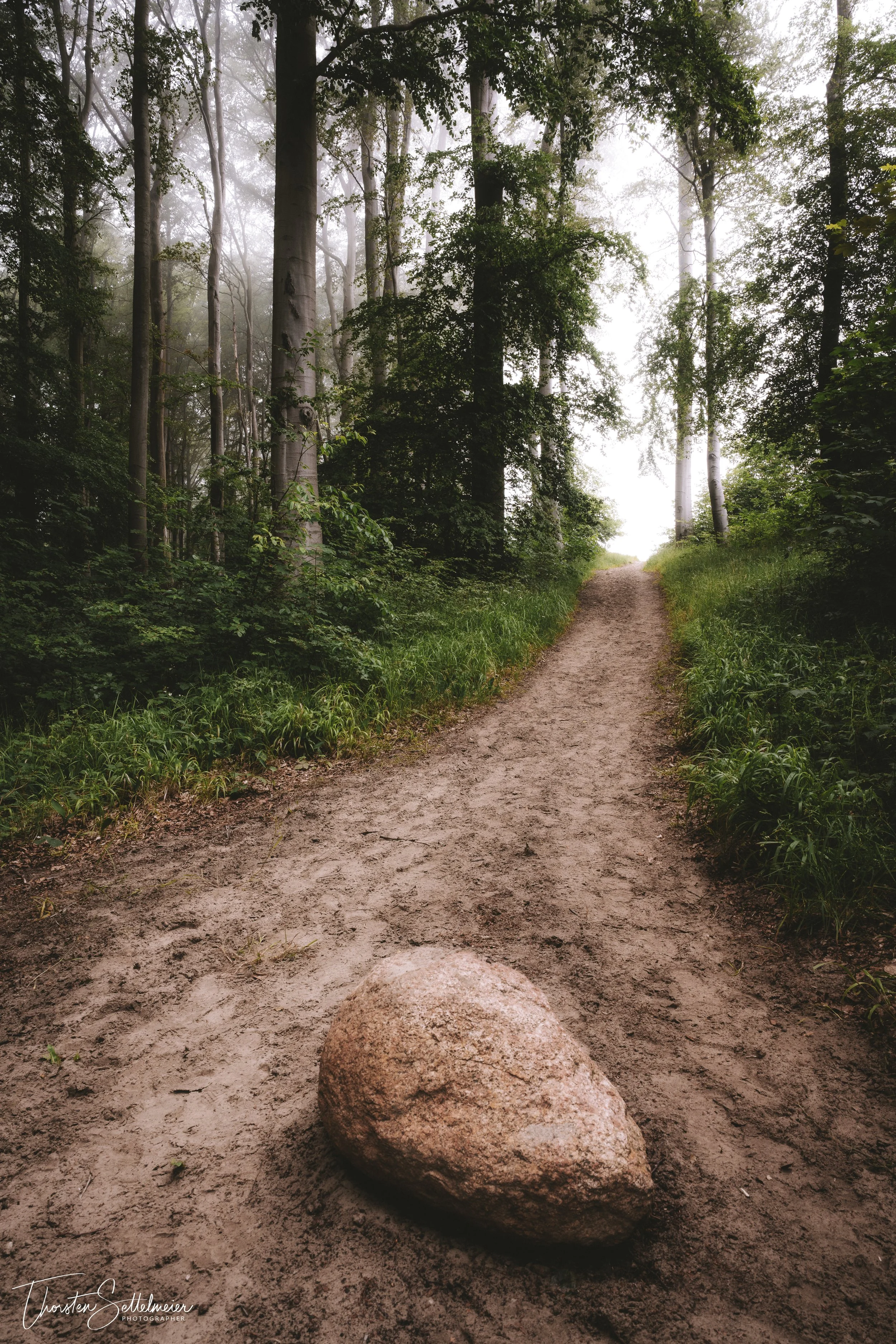 Forest trail to the Baltic Sea / Waldweg zur Ostsee