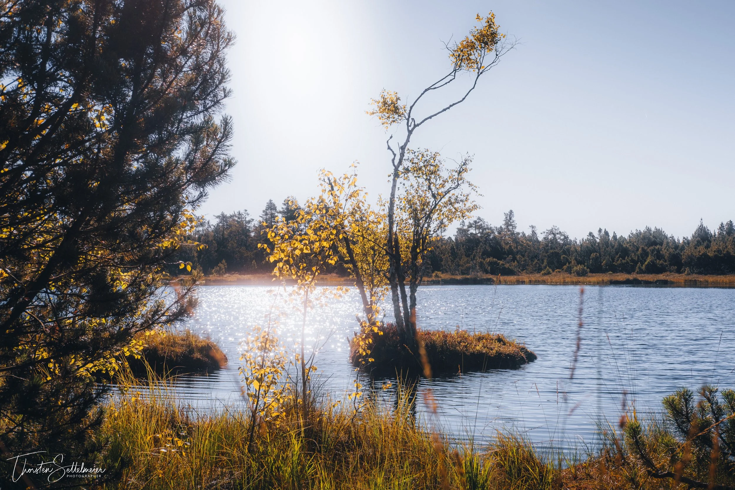 Lake in the raised swamp near Kaltenbronn