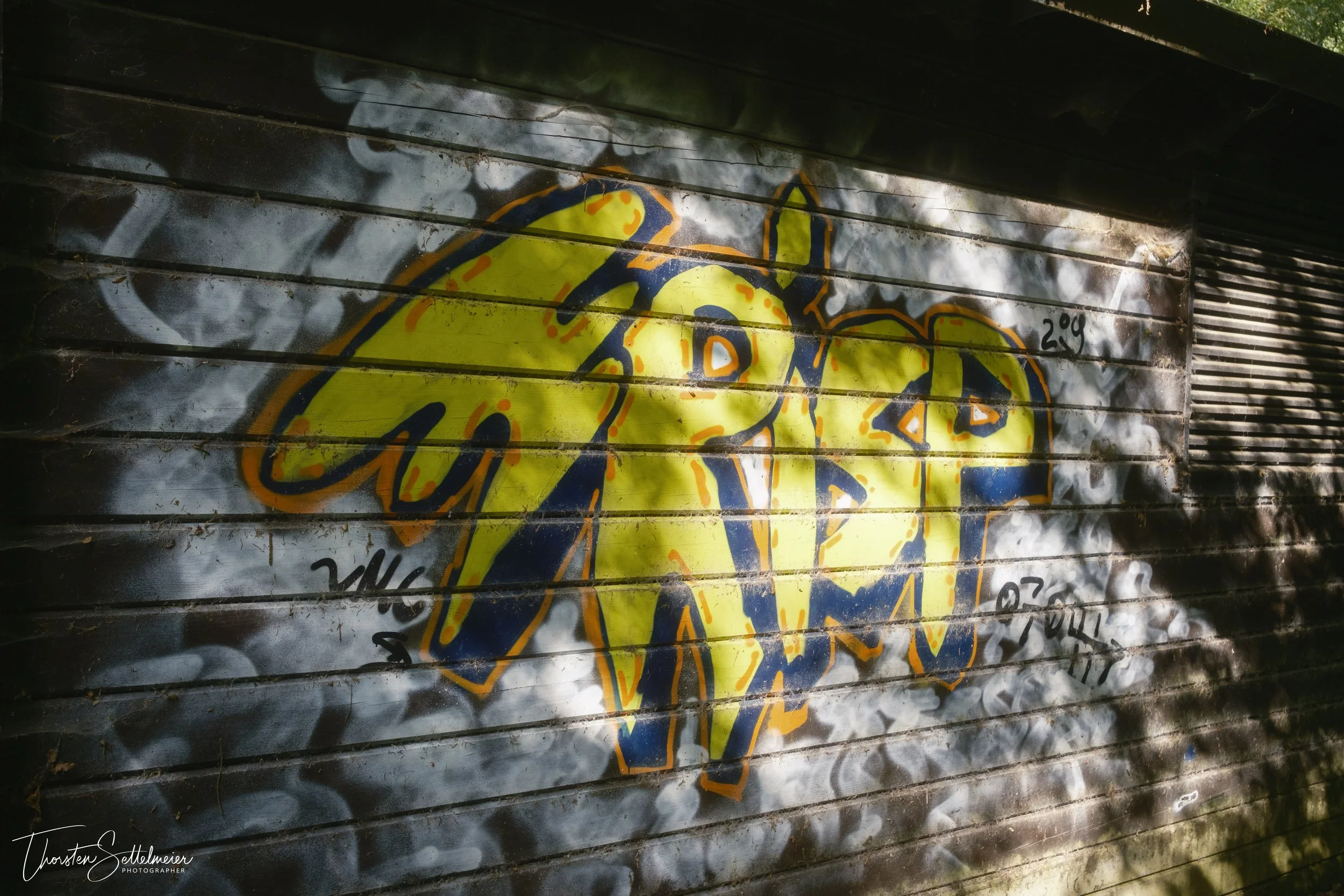 Graffiti on an abandoned cabin in the forest / Graffiti an einer verlassenen Hütte im Wald