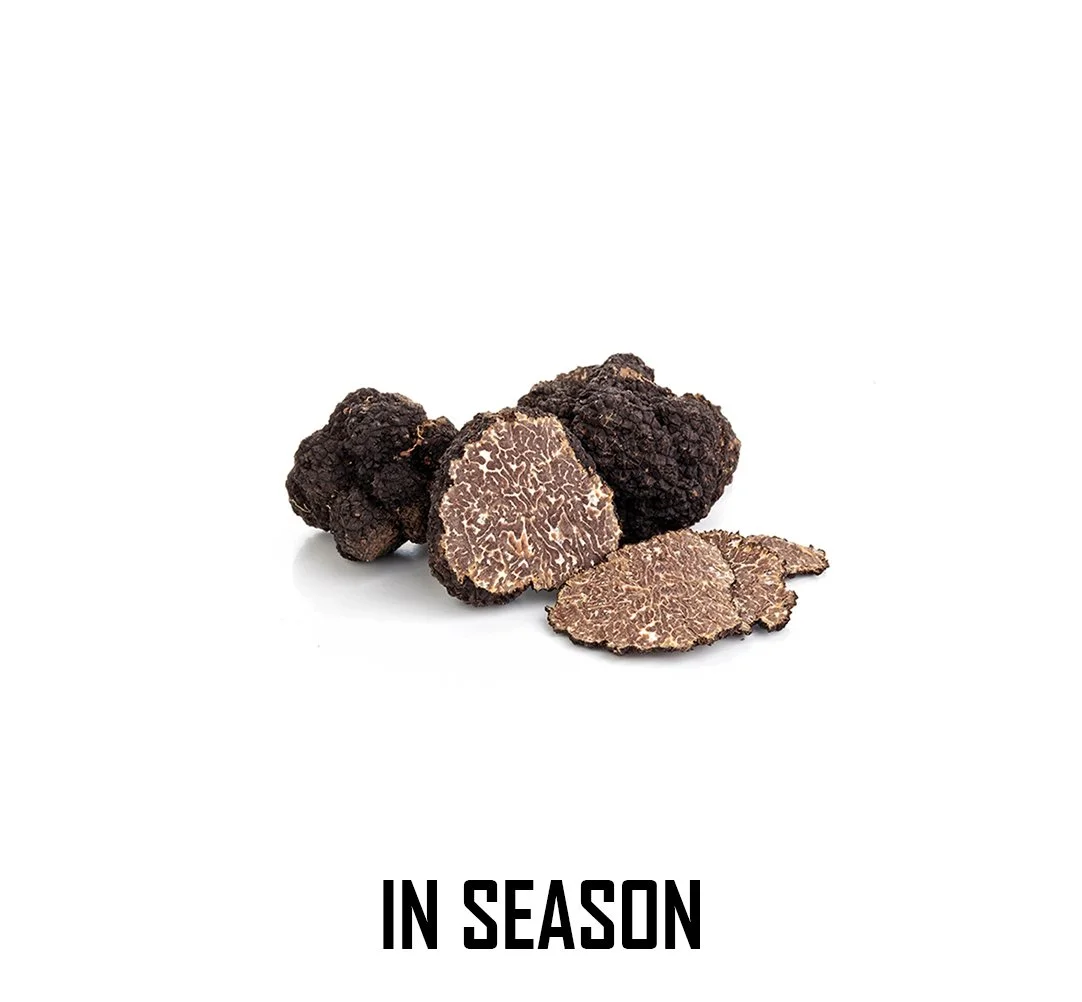 Fresh Black Burgundy Truffles