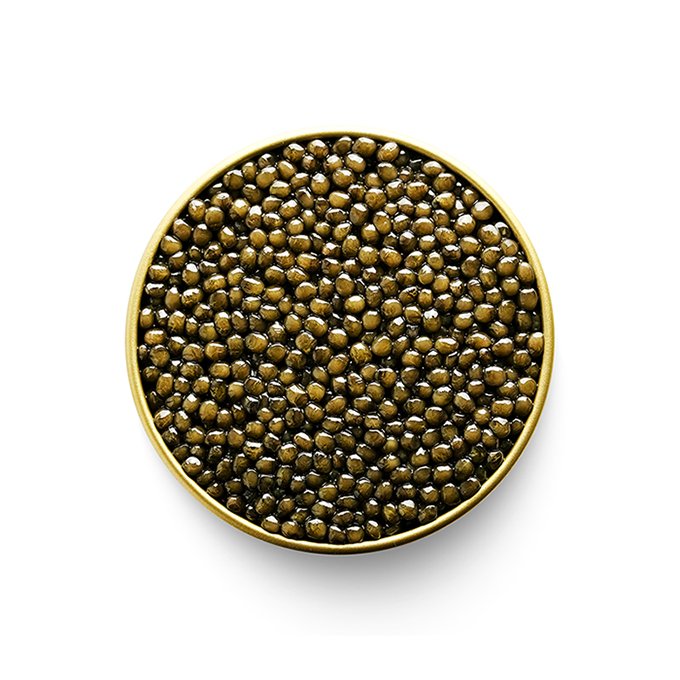 Golden Reserve Osetra Caviar tin - Caviar Foodie, Toronto, Canada gold-black.jpg