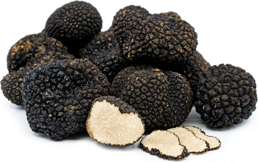fresh black summer truffles- Caviar Foodie - Toronto, Montreal, Ottawa, Edmonton, Calgary, Halifax, Vancouver, Canada