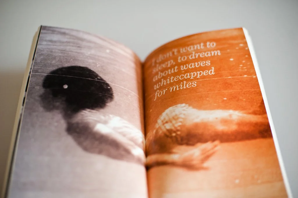 FirstTimeSheFell: Don't Want to Dream