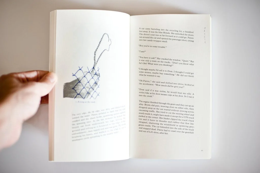 FirstTimeSheFell: Image in Novel