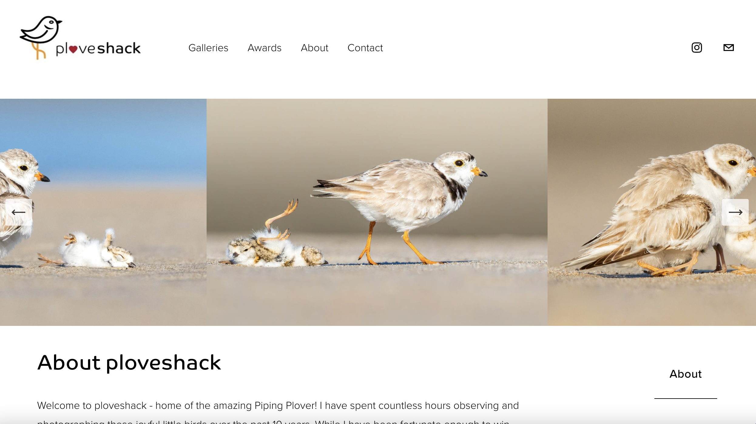 Ploveshack