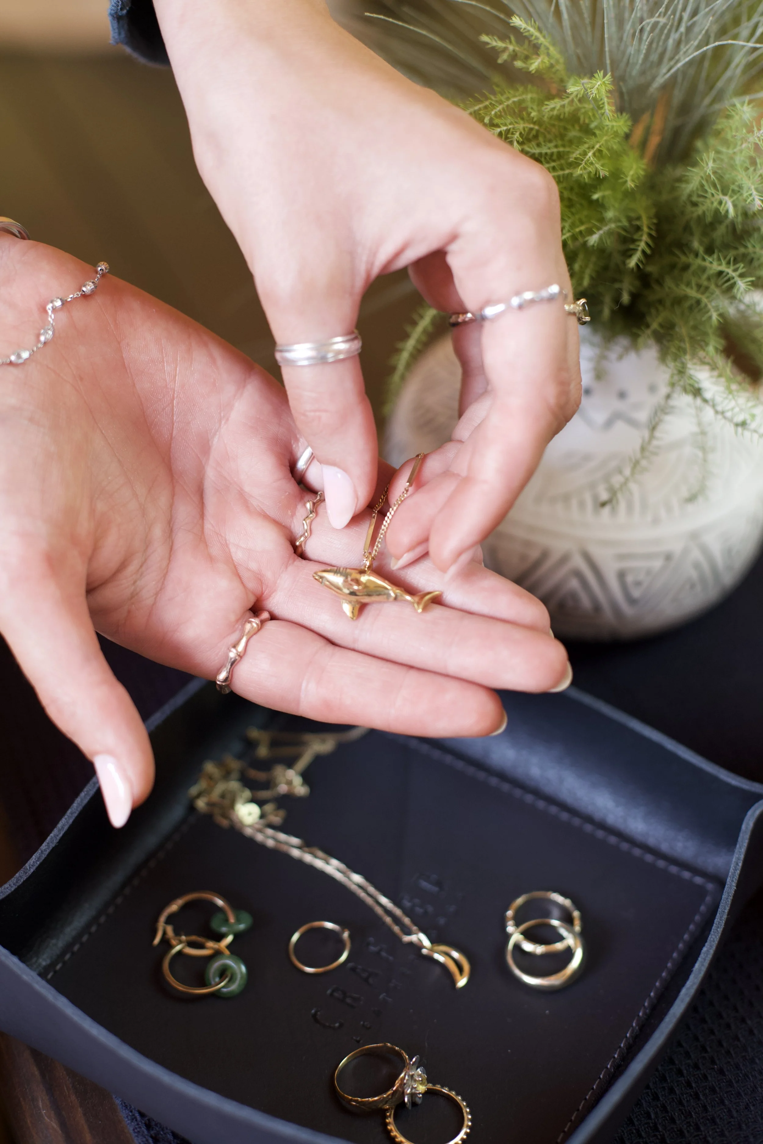 Hands with multiple rings and a gold necklace featuring a dolphin, above a jewelry box with gold rings and necklaces, near a potted plant.