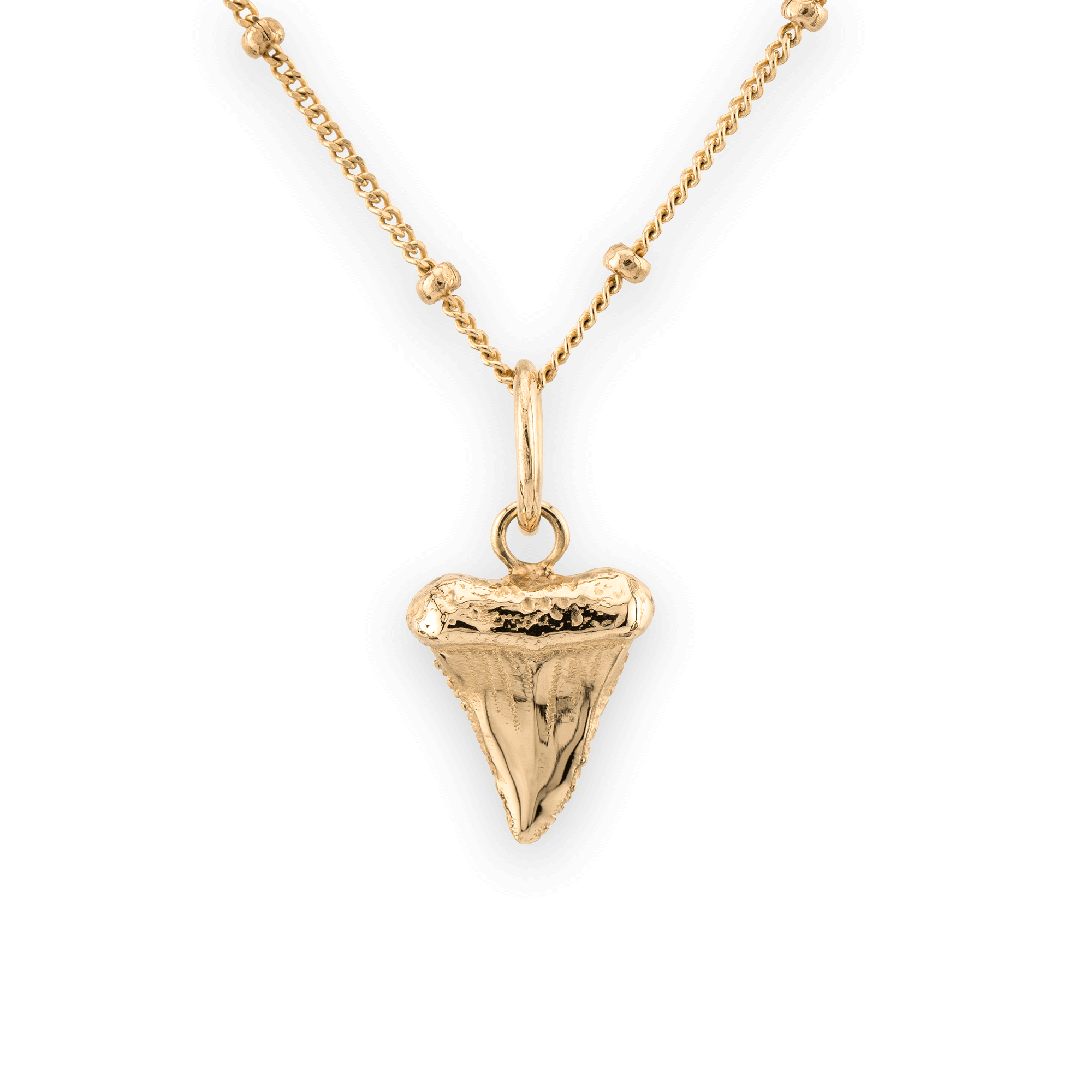 Wild - Great White Pendant