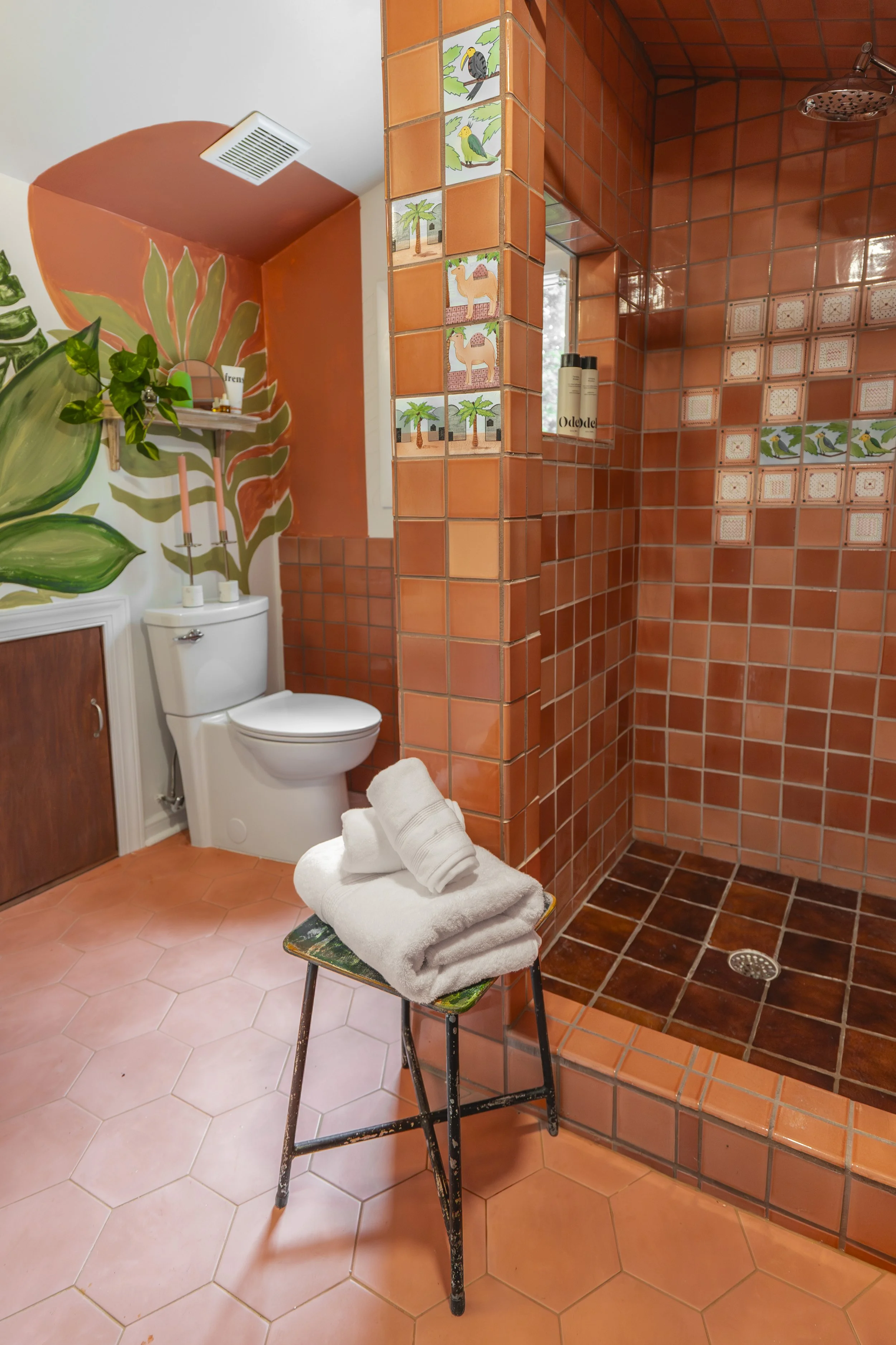 Circle Drive home before main bath renovation — Durham NC interior architecture and design