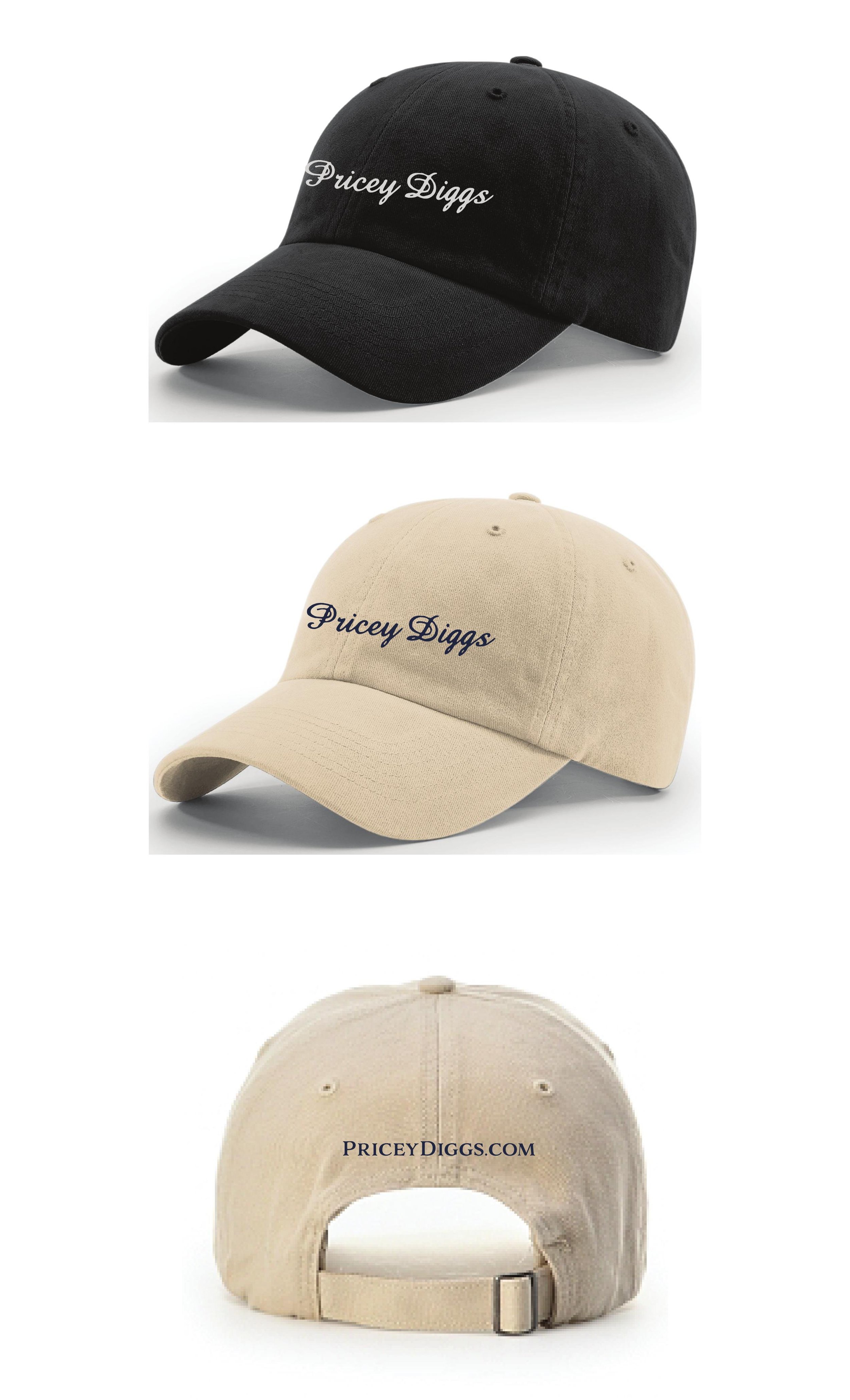 pricey diggs hat mocks revised.jpg