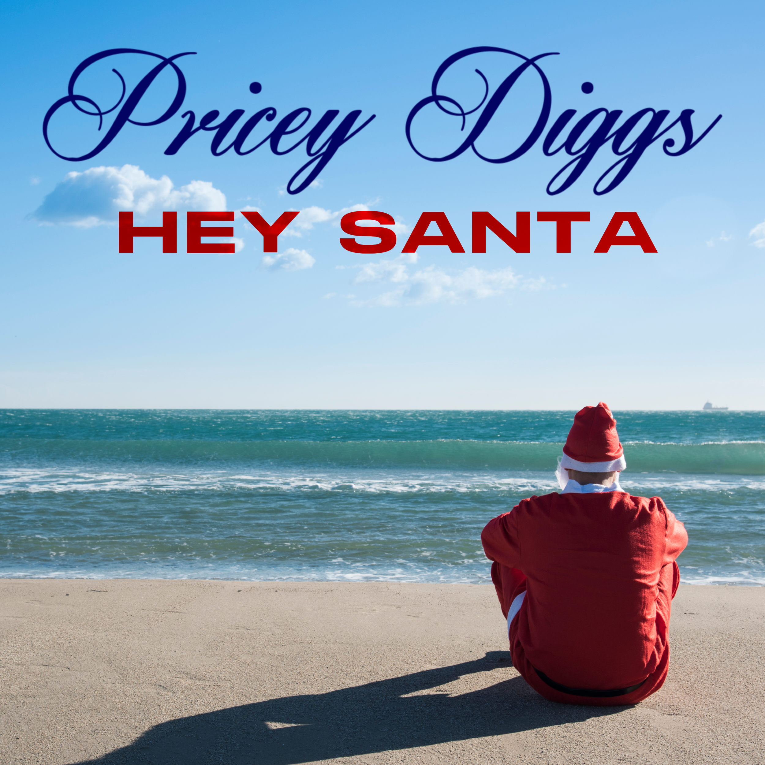 Pricey Diggs - Hey Santa (single) - Hi Res Cover FINAL.png