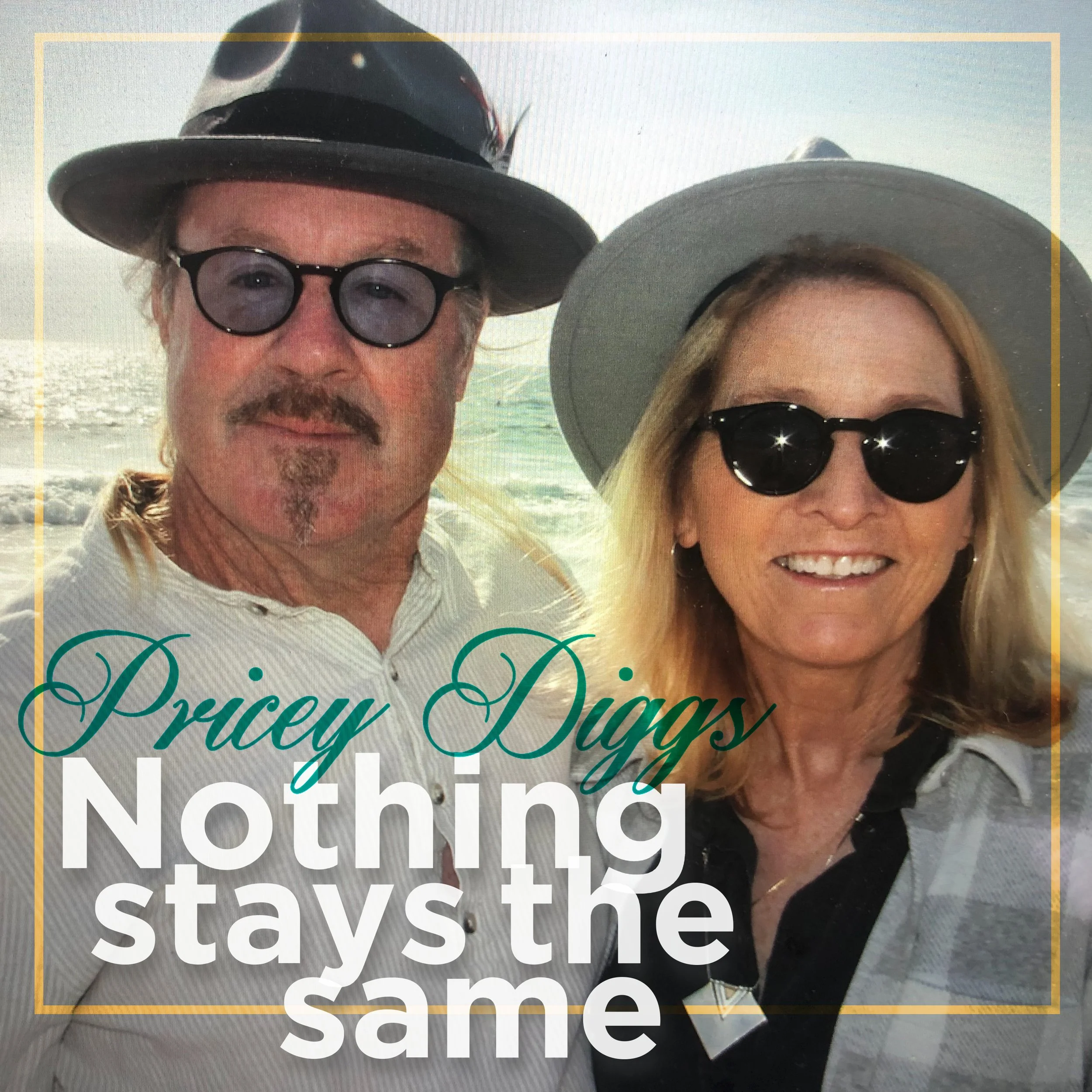 Pricey Diggs - Nothing Stays the Same - Cover 1.jpg