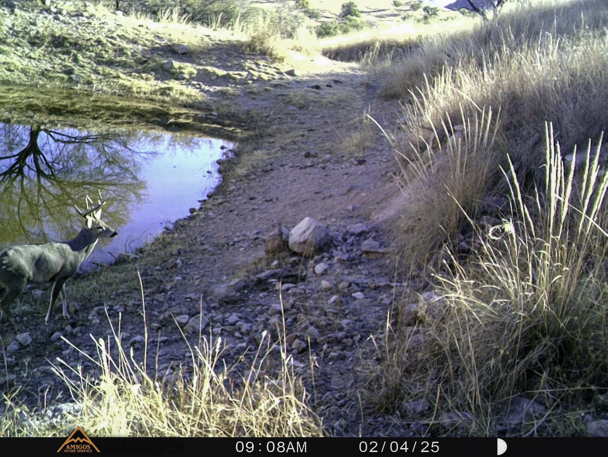 Amigos Esteban 020425-1.jpg