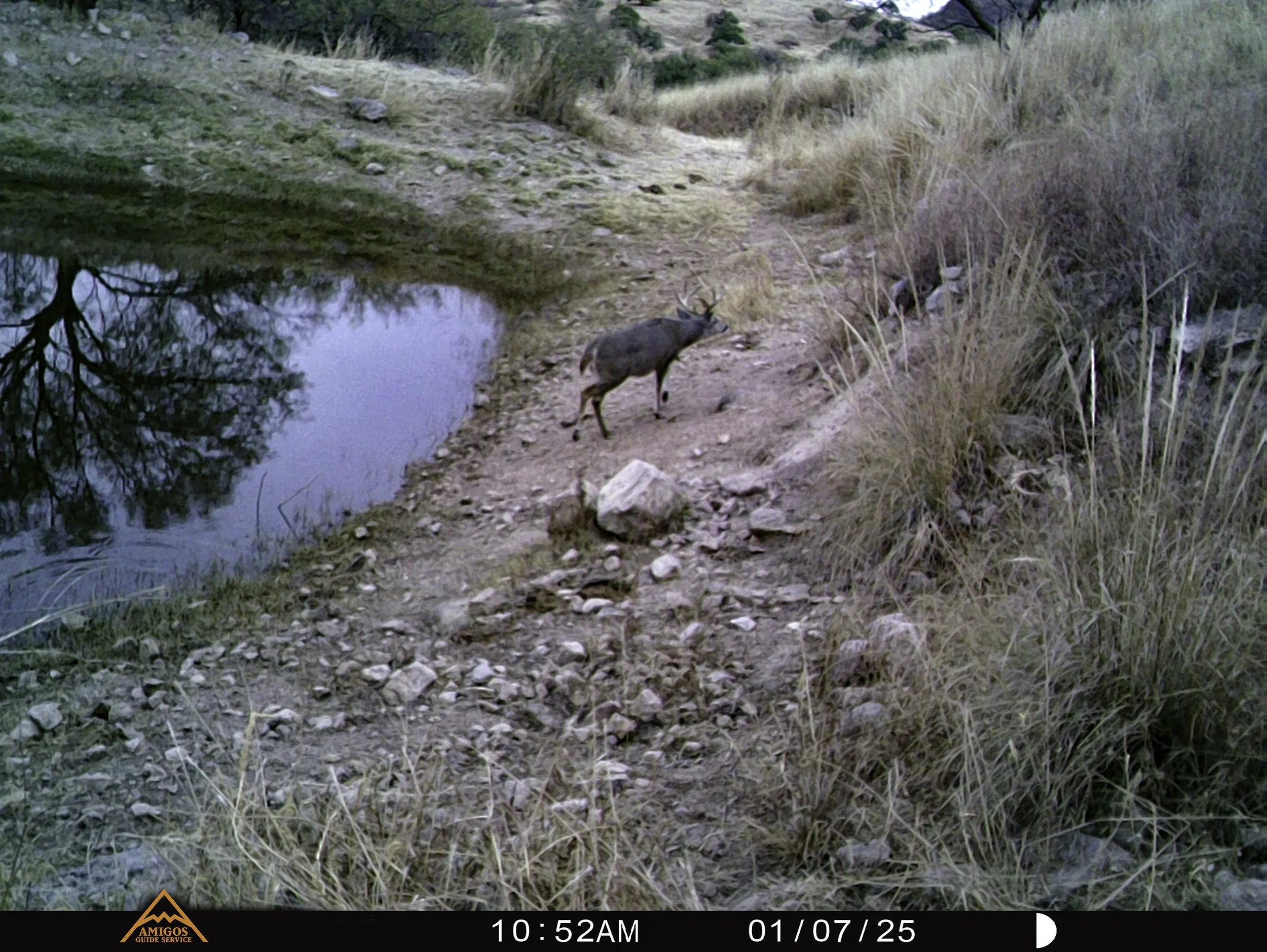 Amigos Esteban 010725 maybewisco1.jpg