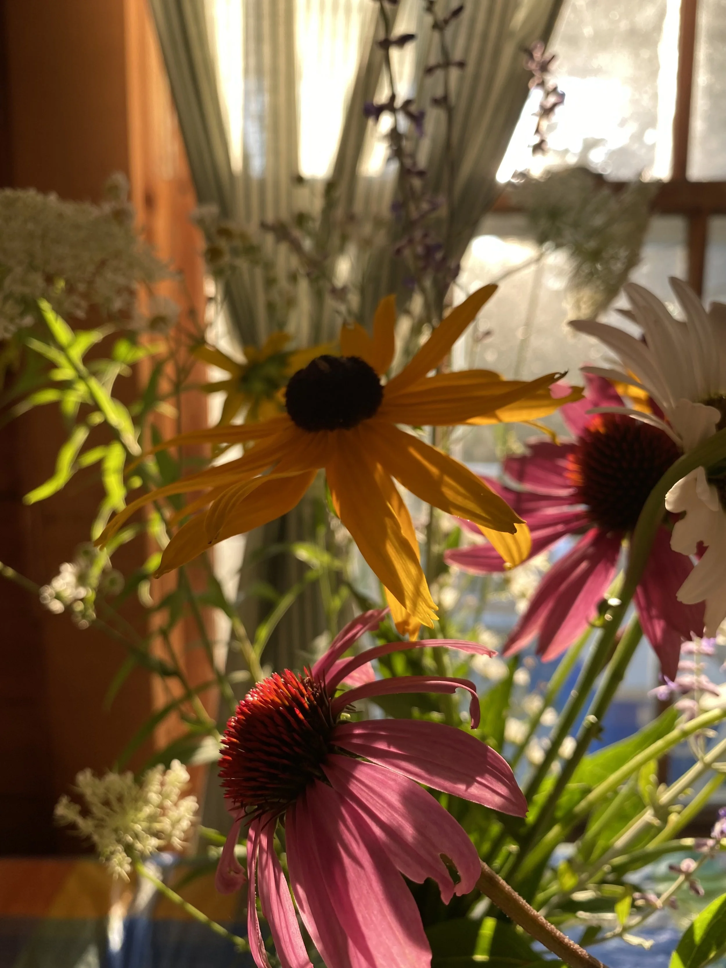 IMG_8206.jpeg