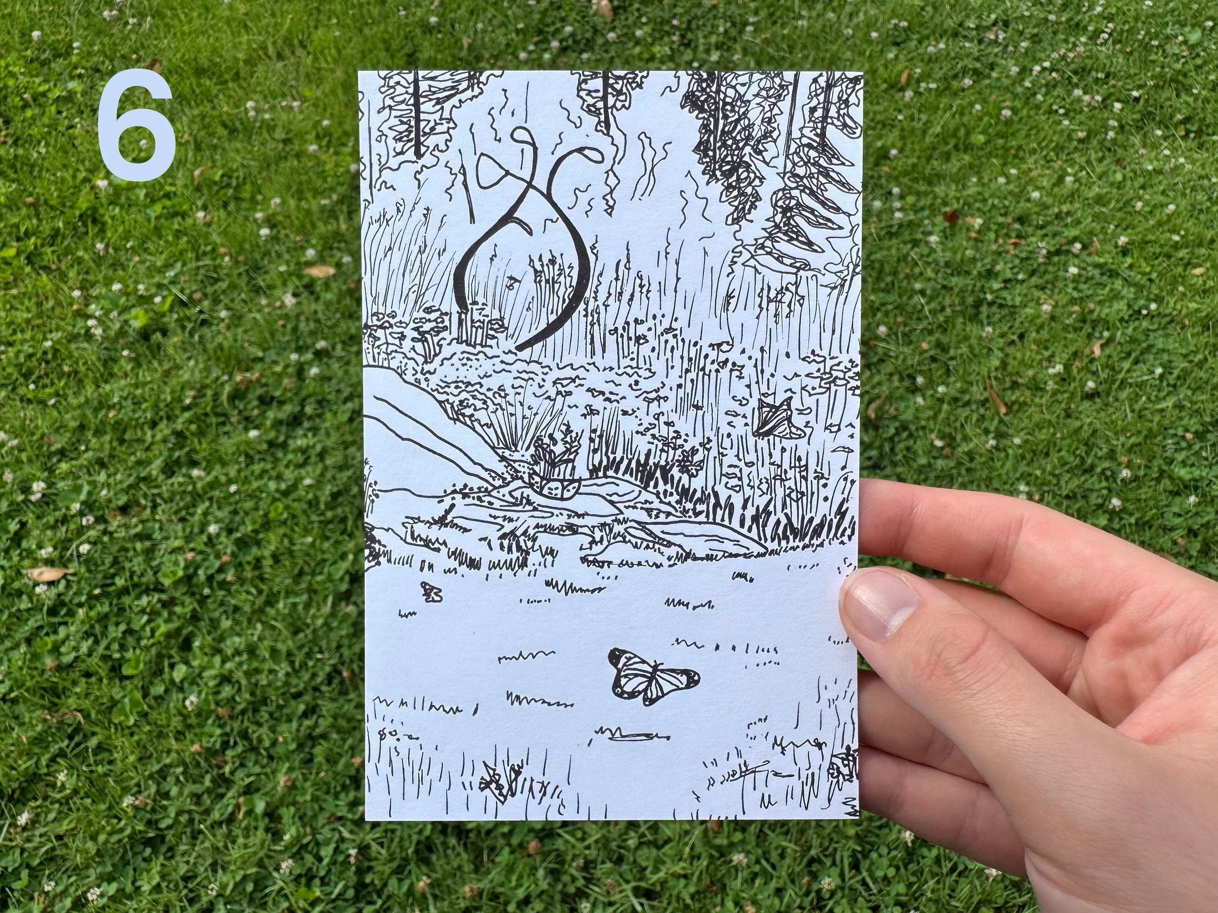 202209??_Shop-Photo_BW-Drawing_Boothbay-ME_Botanical-Gardens.jpg