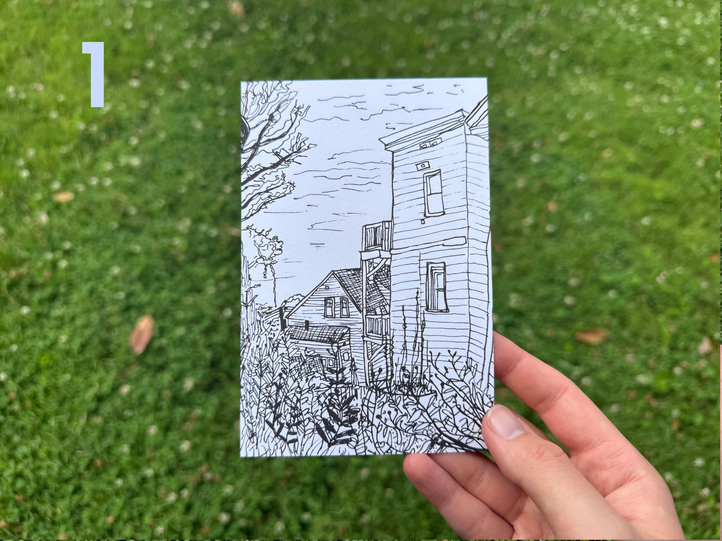 20210805_Shop-Photo_BW-Drawing_Portland-ME_Garden.jpg