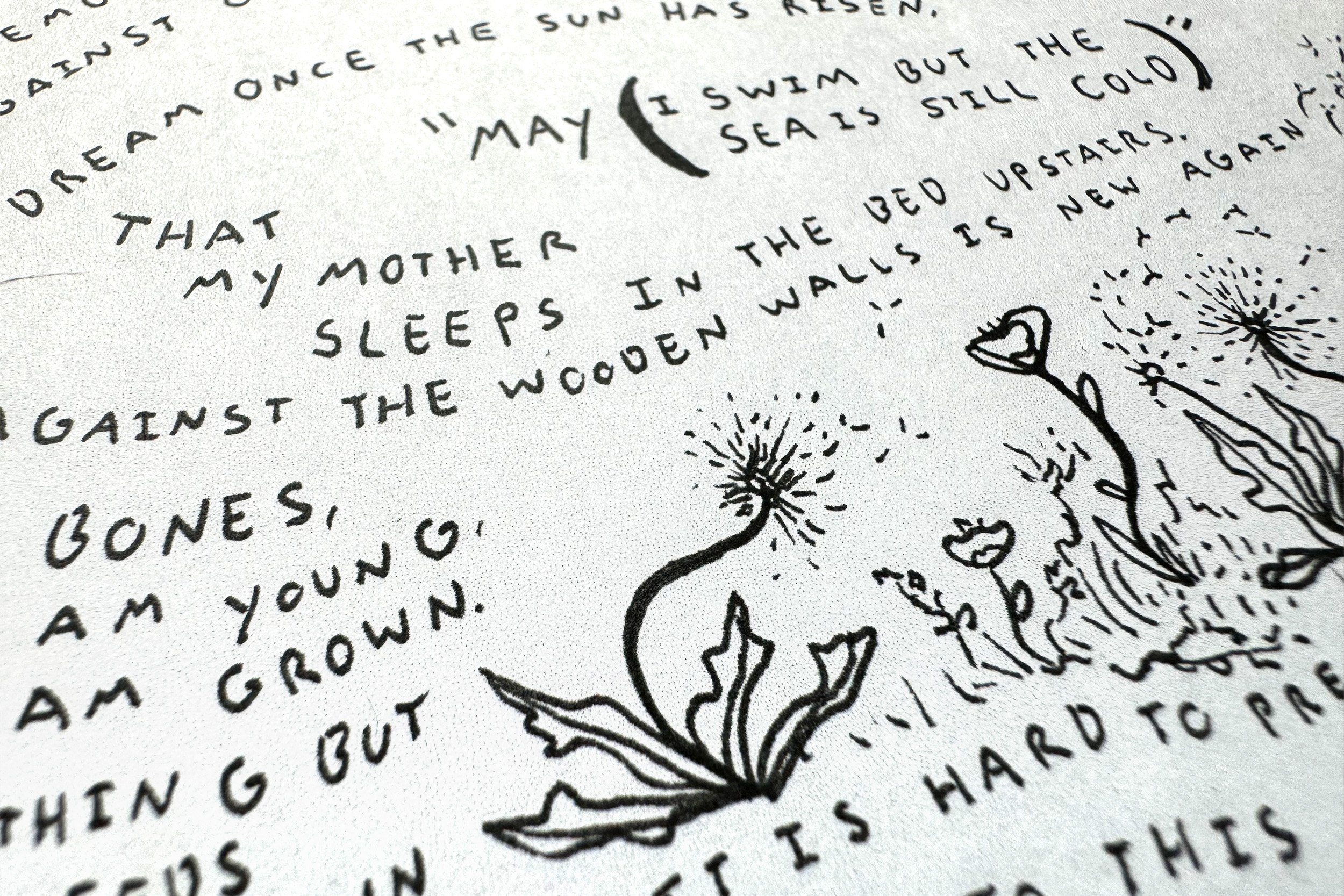 May23_poem_detail.jpg