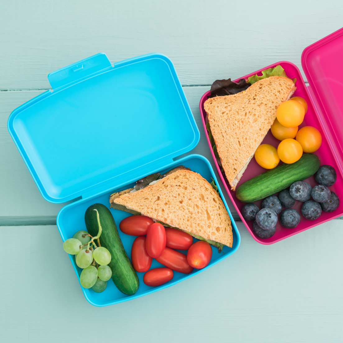 The Zero-Waste School Lunch: Reduce, Reuse, Compost