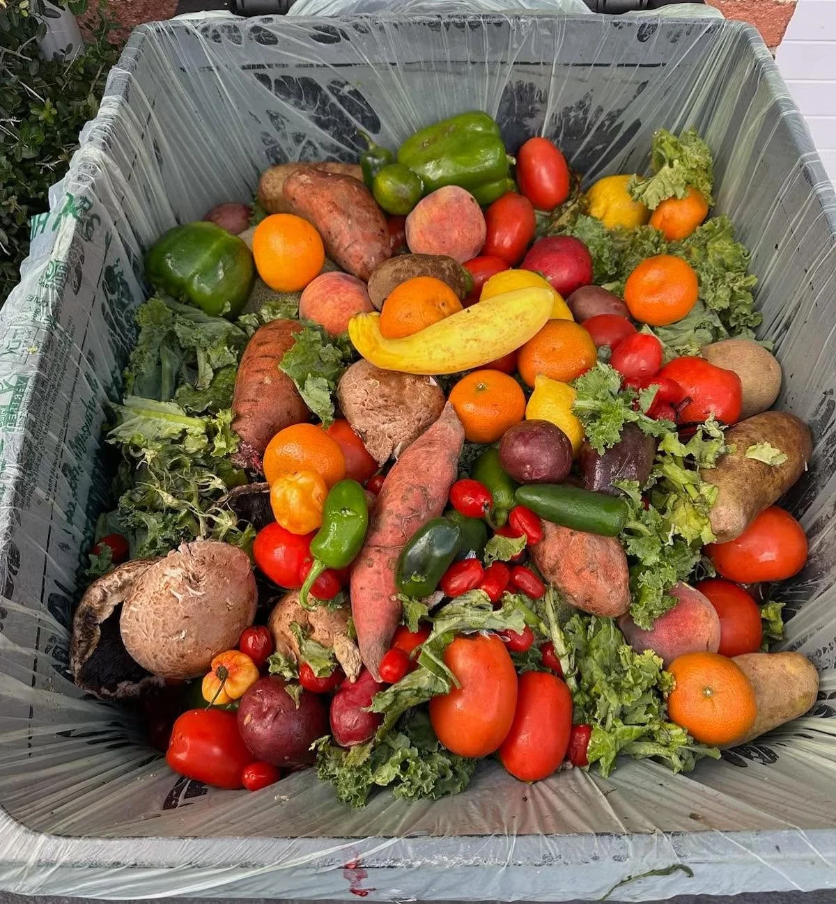 Nourishing Our Neighbors, Giving Life to Local Waste