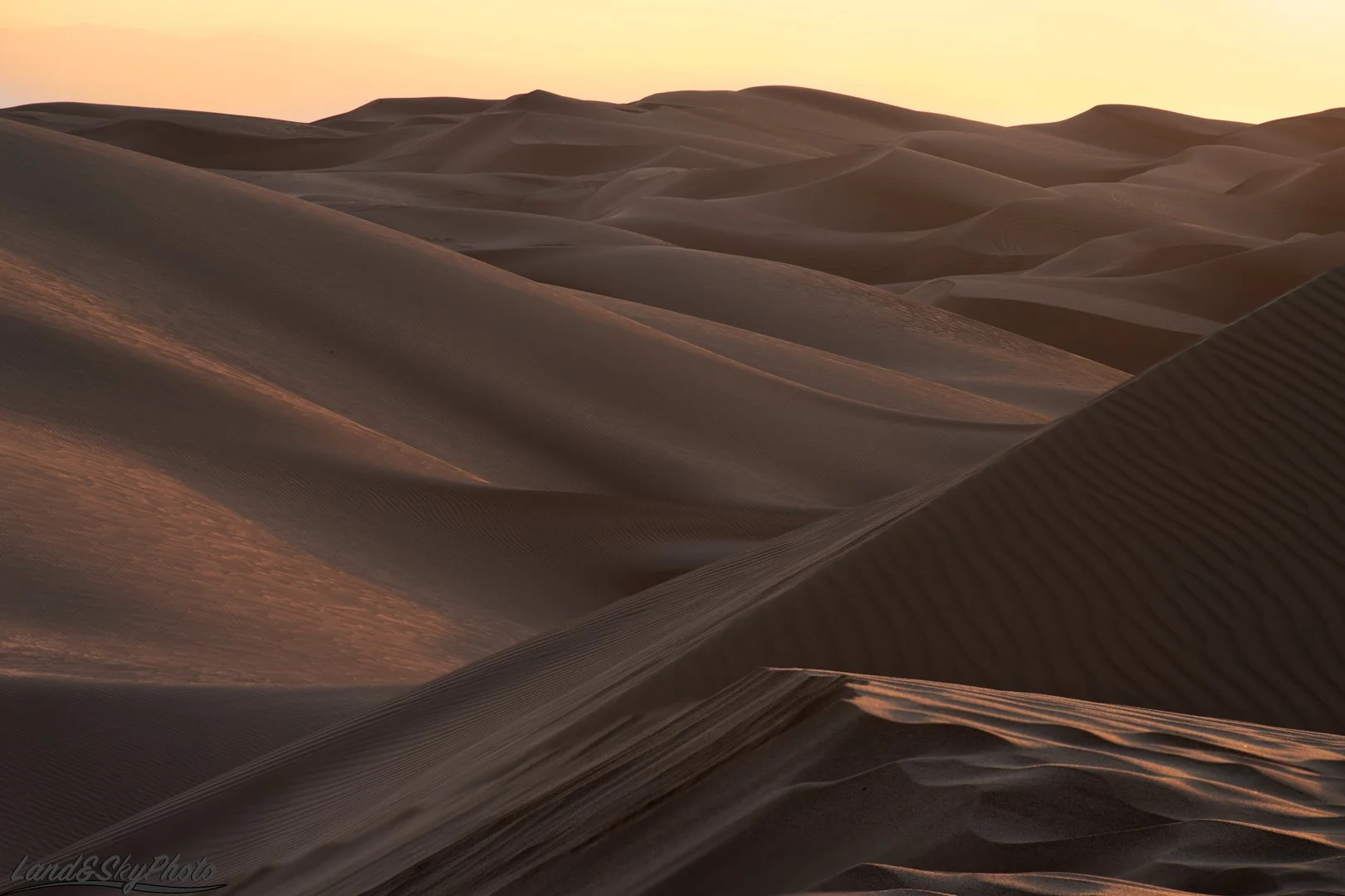 The Imperial Sand Dunes in southern California bathed in golden hour light 