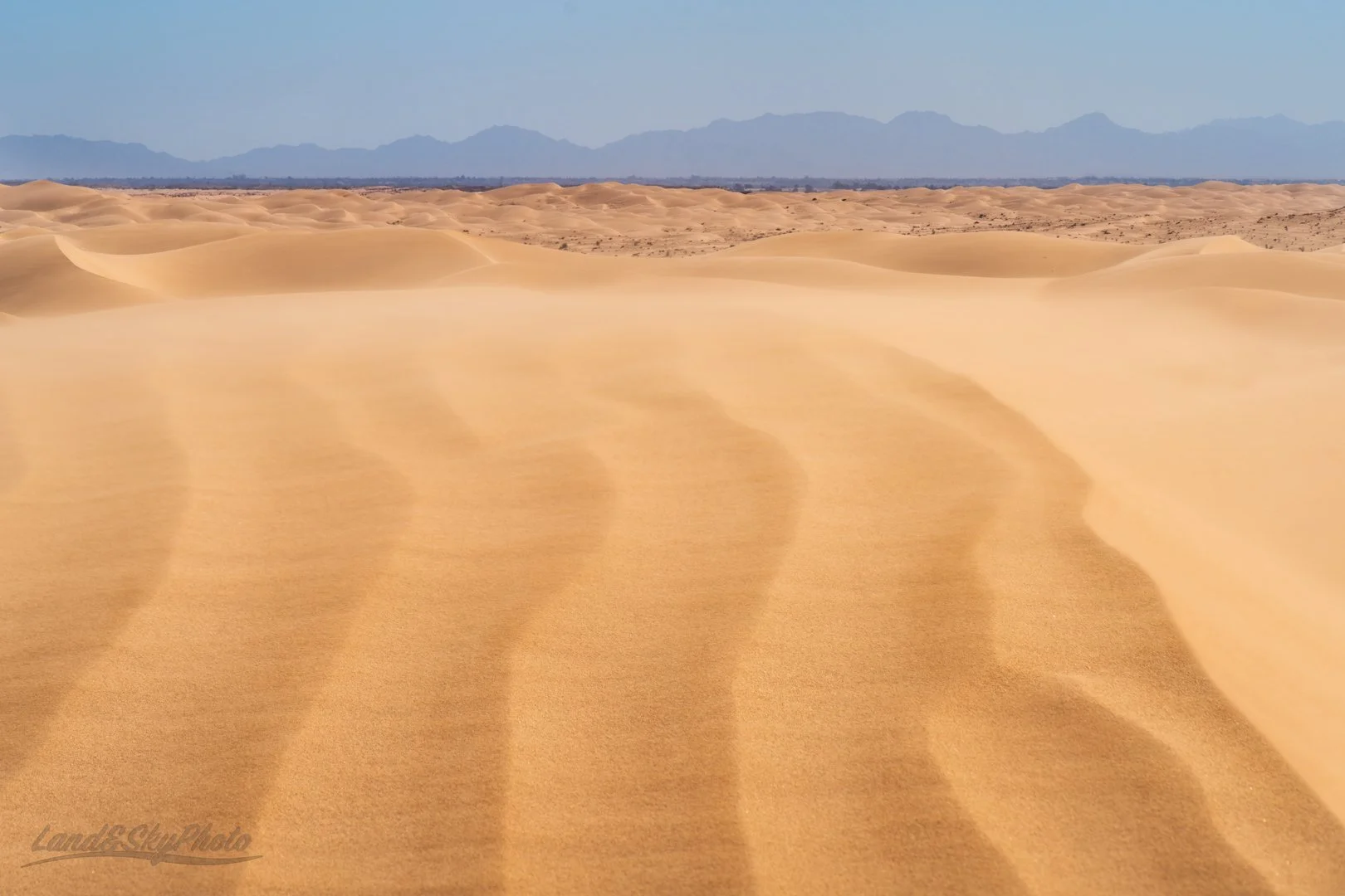 The wind blown Imperial sand dunes in Southern California under blue bird skies.