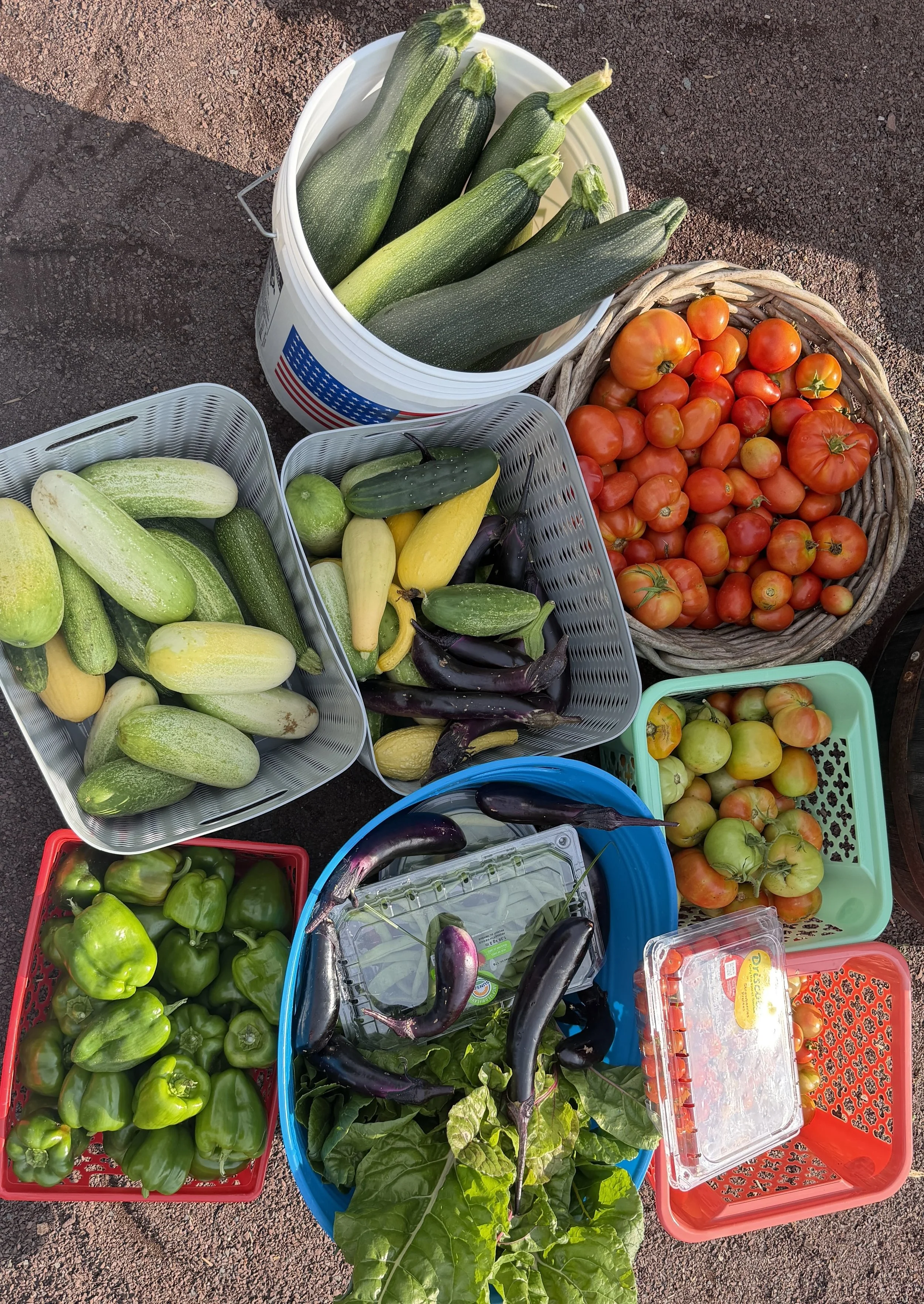 Over 100 Pounds of Produce Donated!