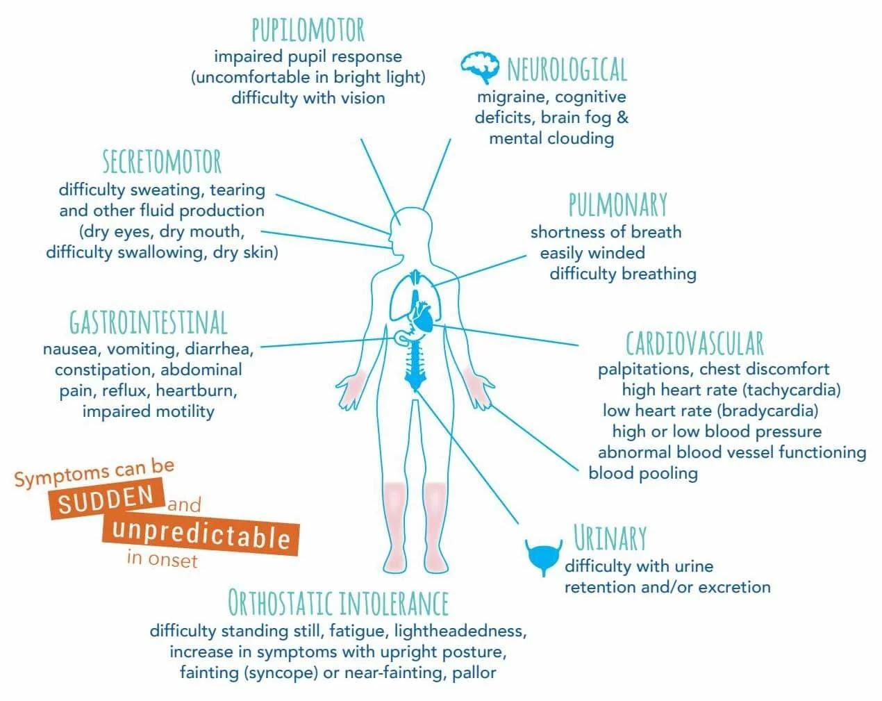 Understanding the Impact of Dysautonomia on Daily Life — mOTivate minds