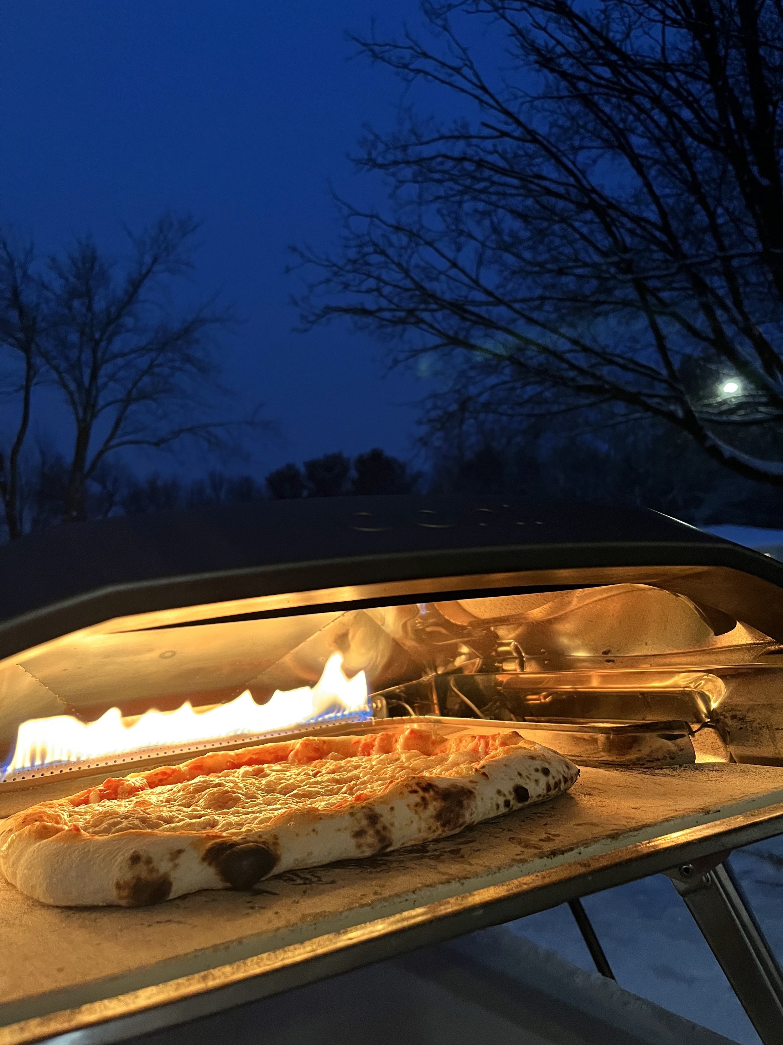 Cook Oven Closeup.jpeg