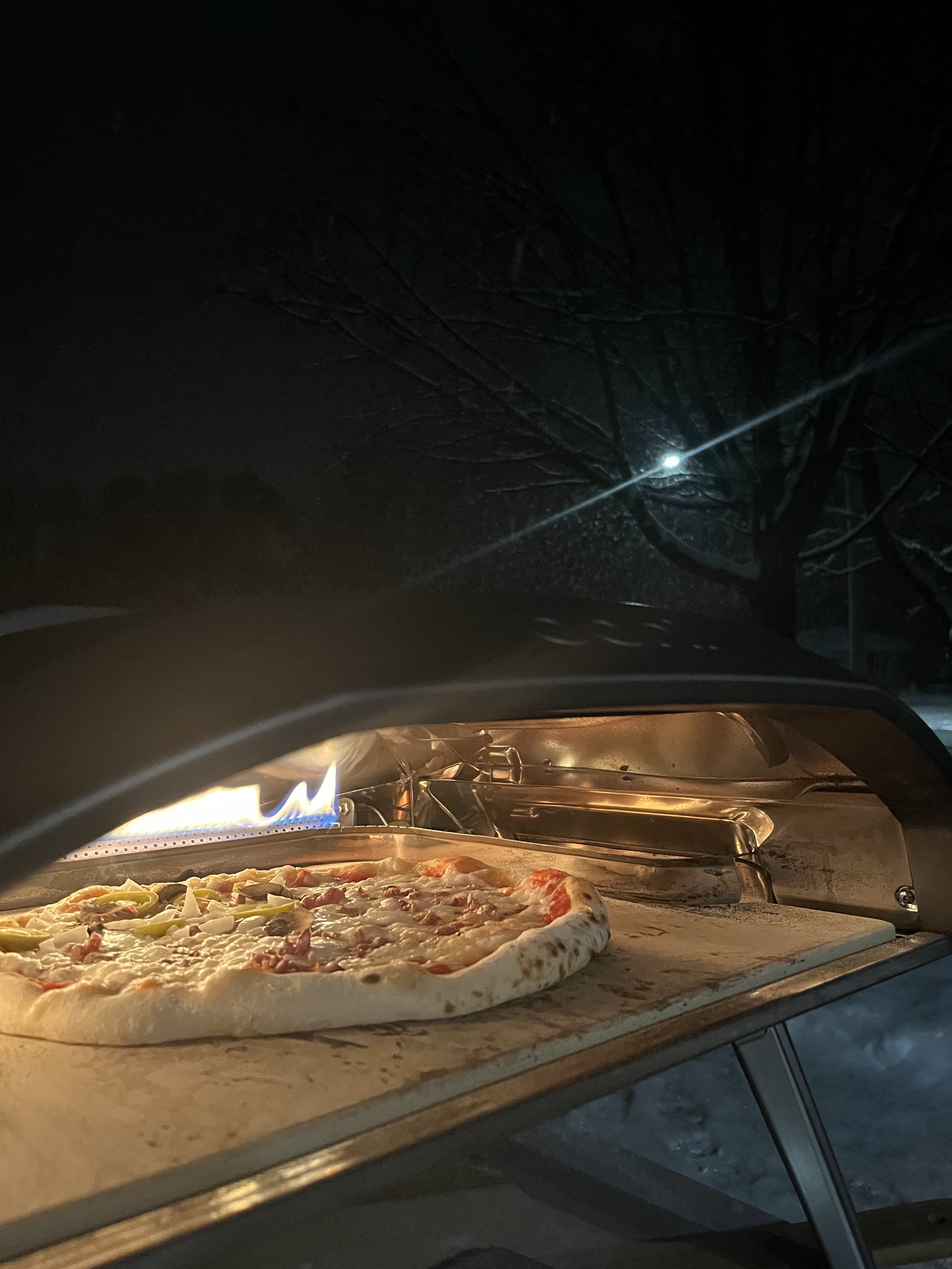 Cook Snowfall Close Up.jpeg