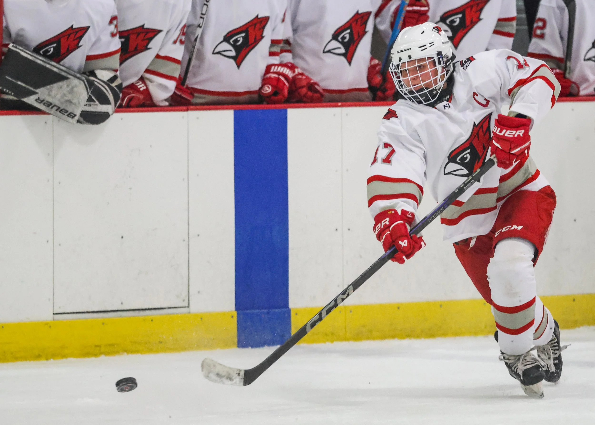 willmar-cardinals-girls-hockey-vs-new-ulm-111525-3.jpg