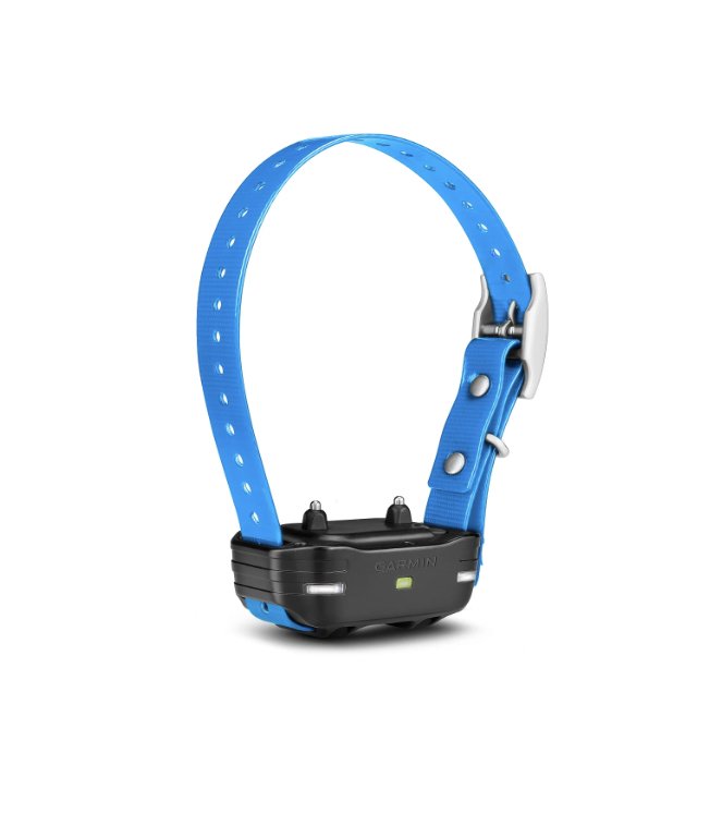 PT 10 dog collar