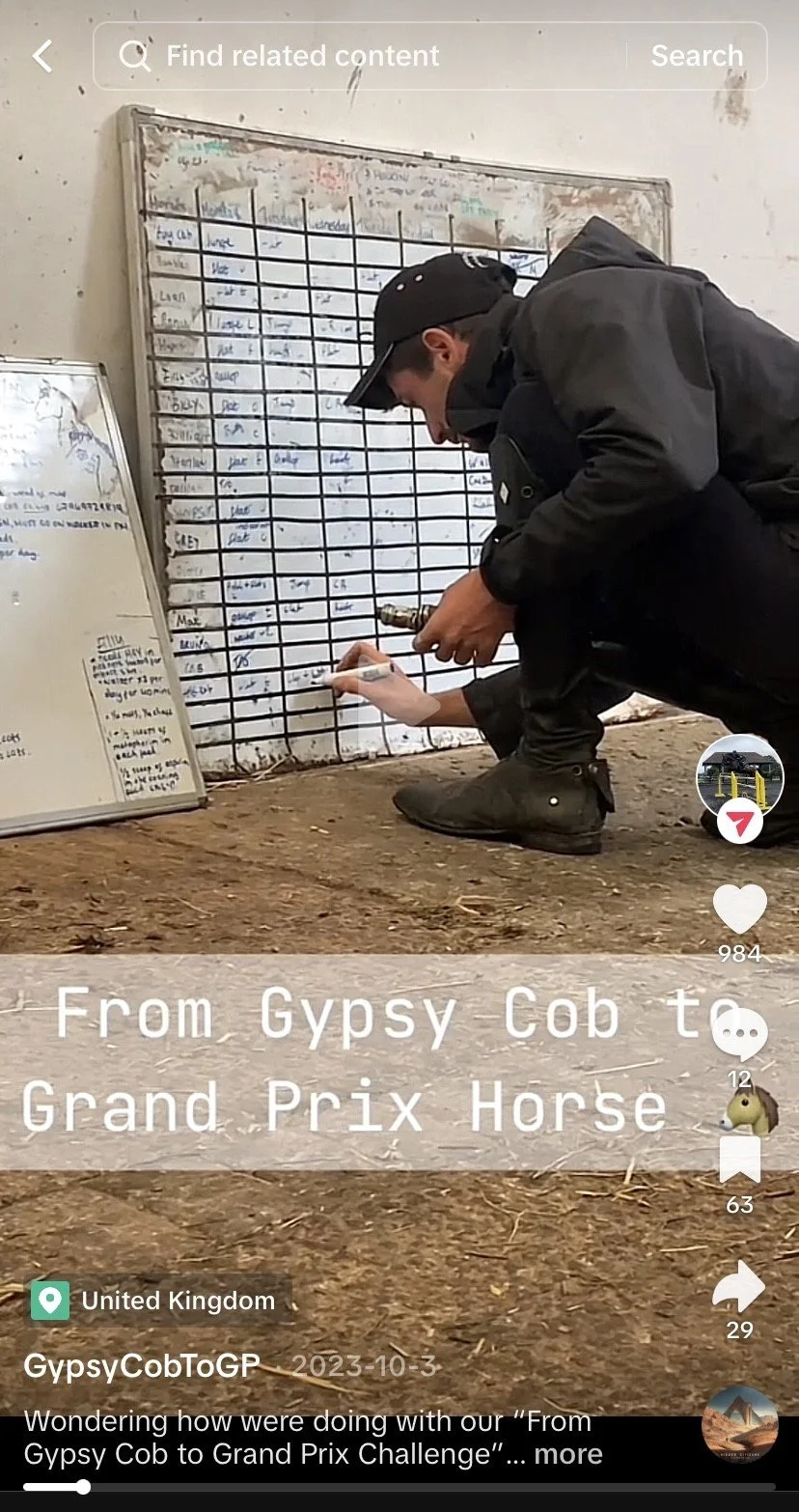 gp3.jpeg
